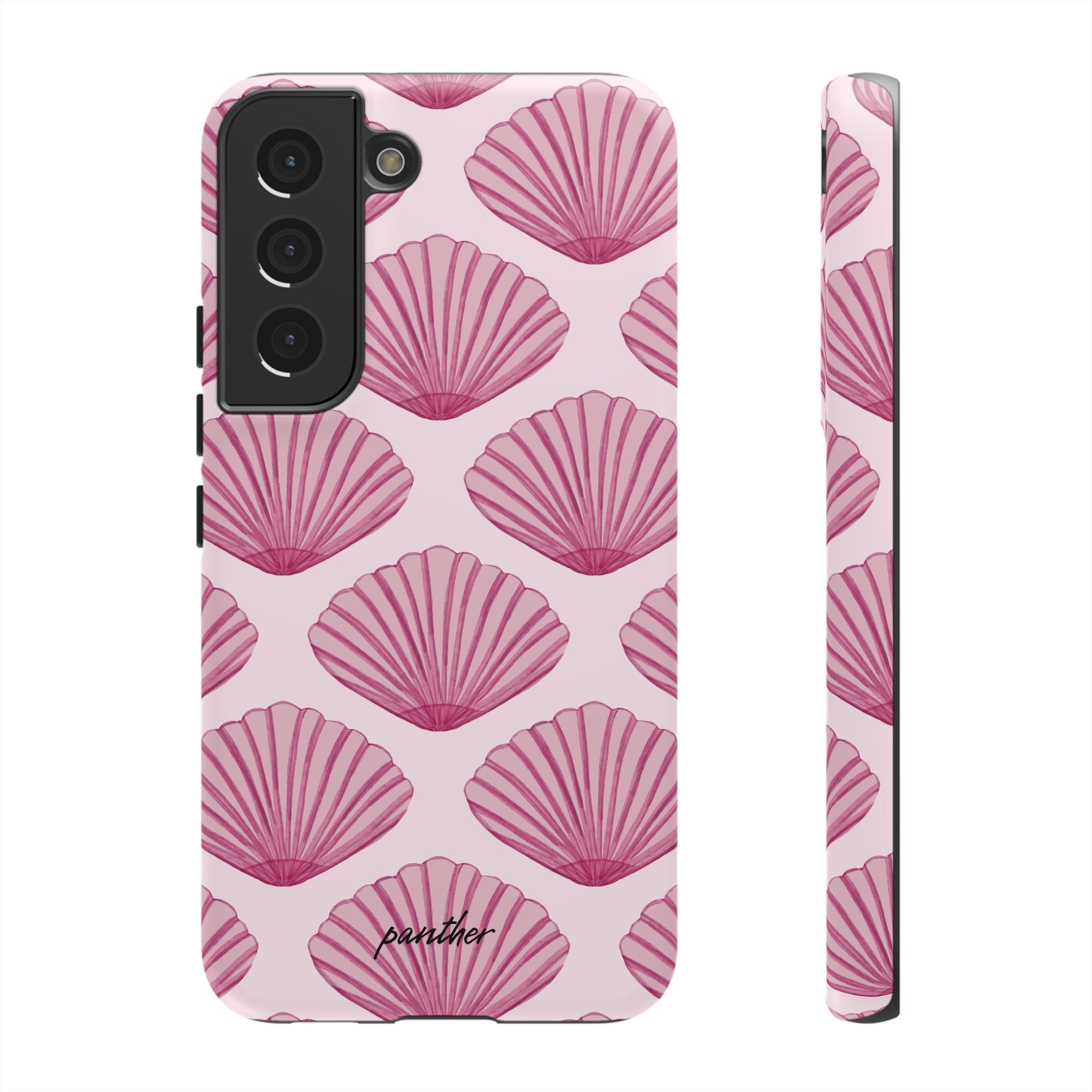 Coastal Shells
