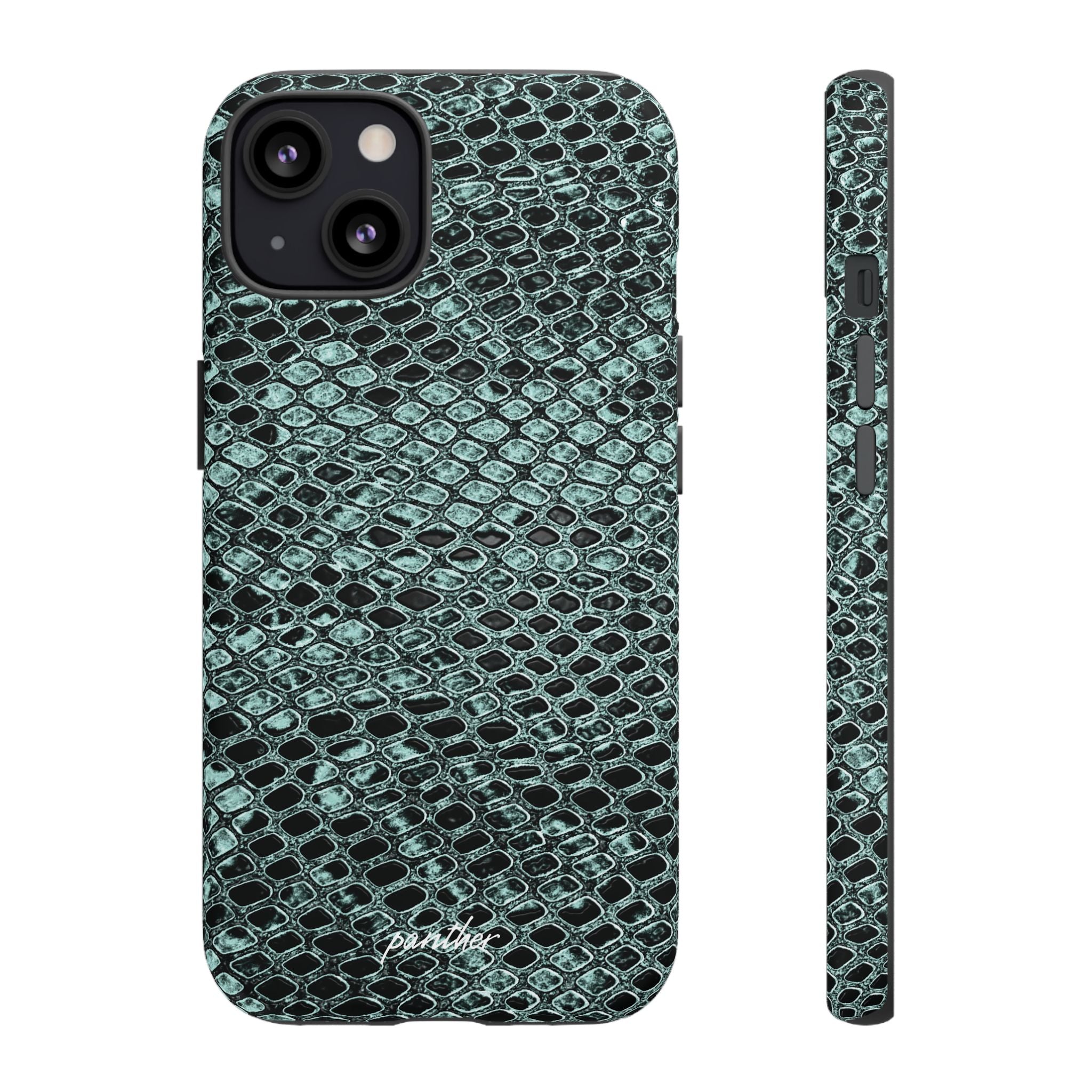 Python