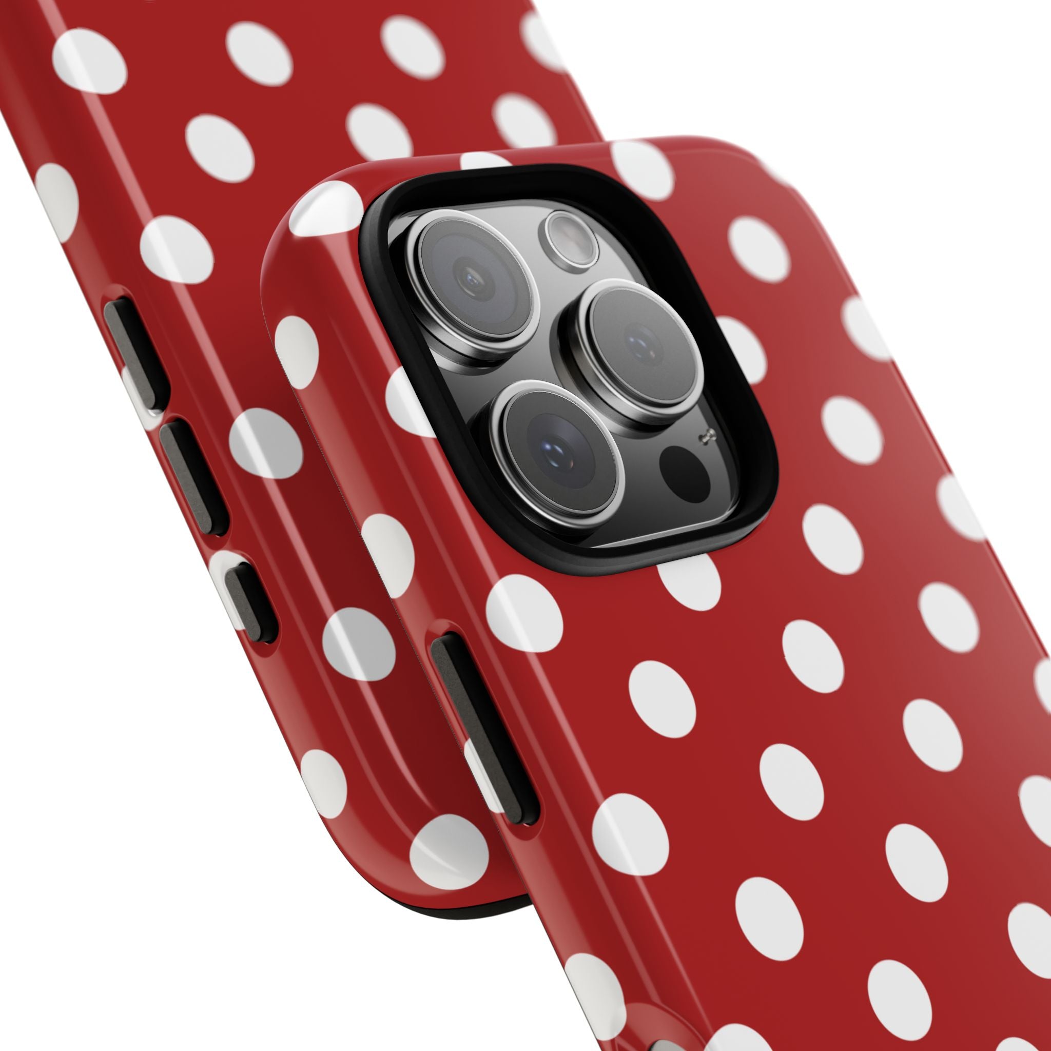 Ladybug V4