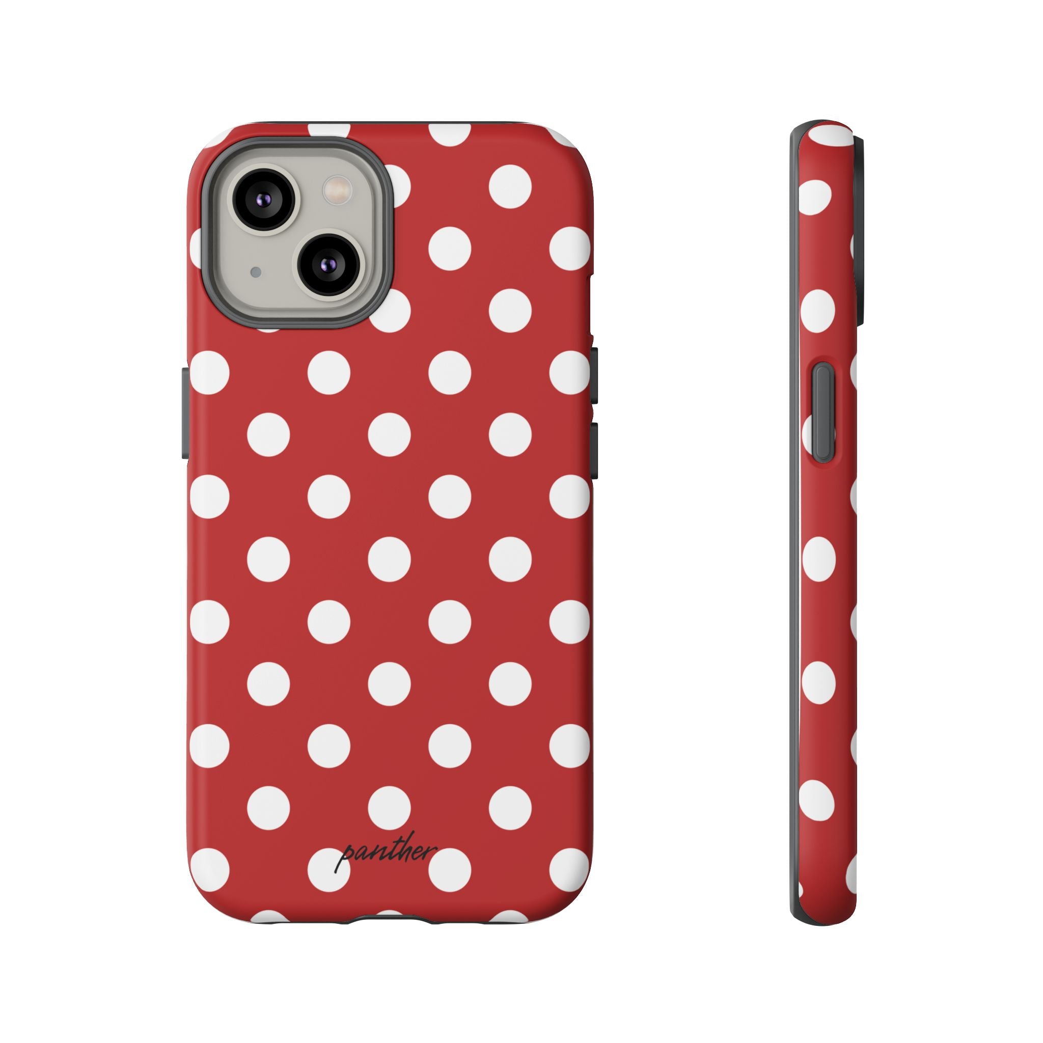 Ladybug V4