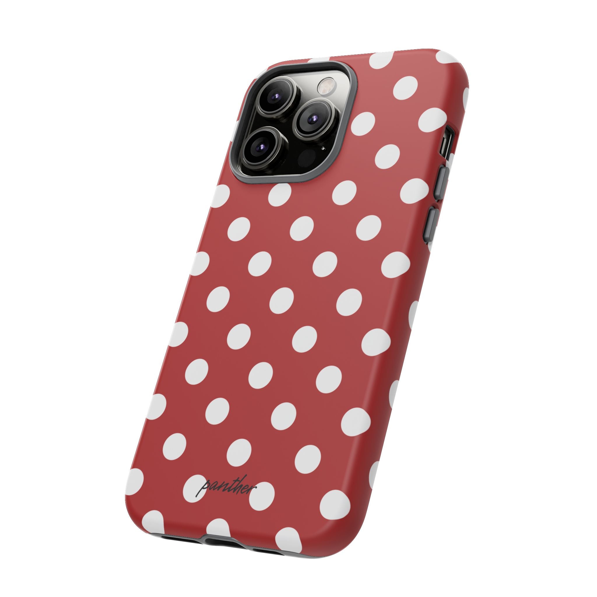 Ladybug V4