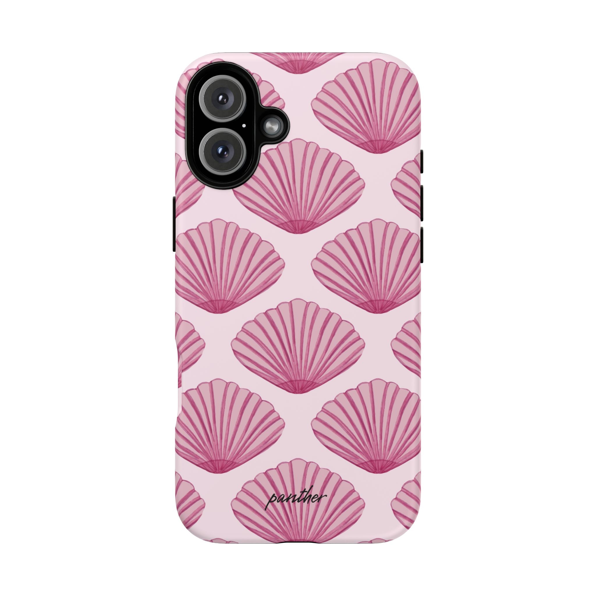 Coastal Shells