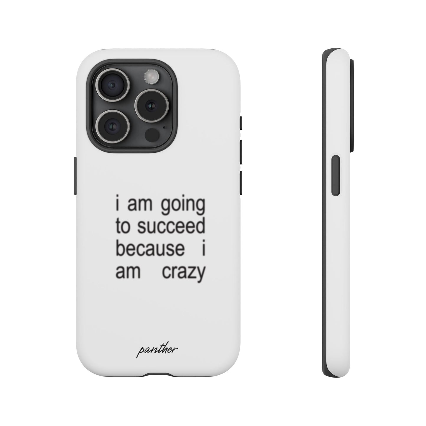 I Am Going To Succeed Because I Am Crazy