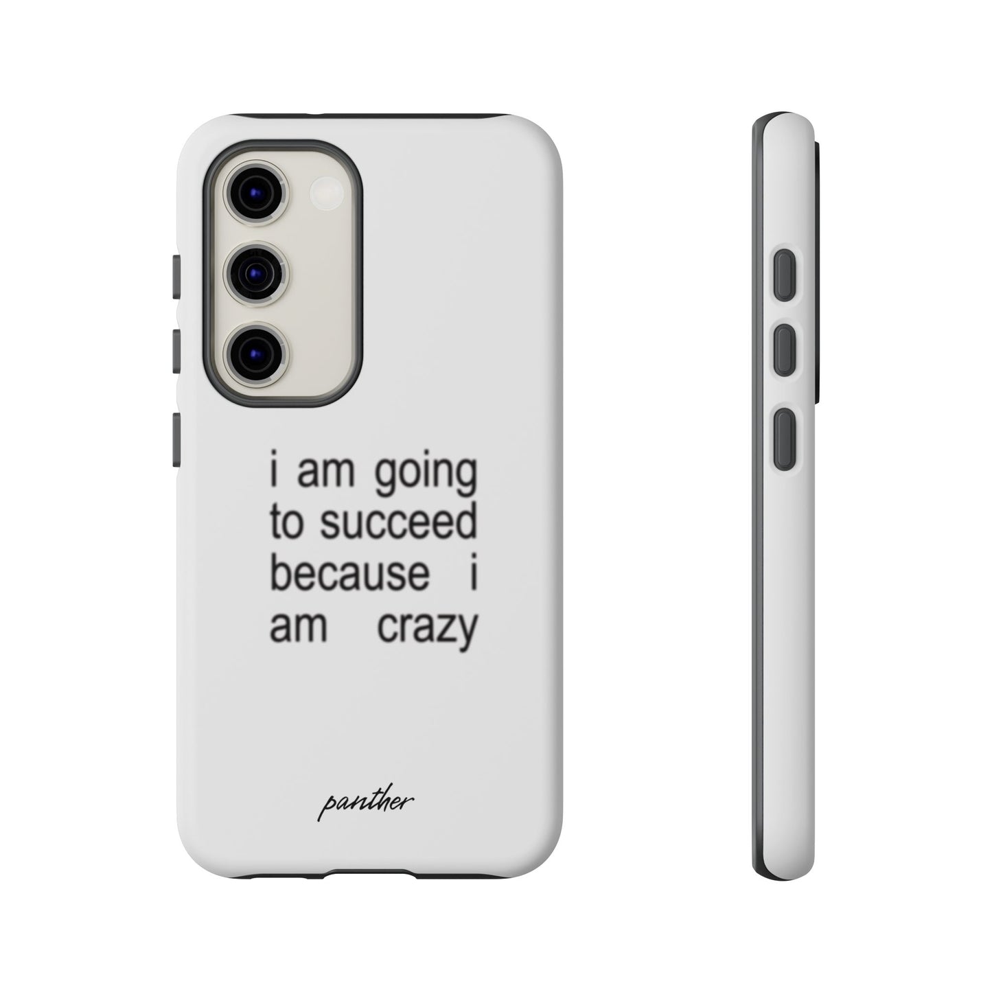 I Am Going To Succeed Because I Am Crazy