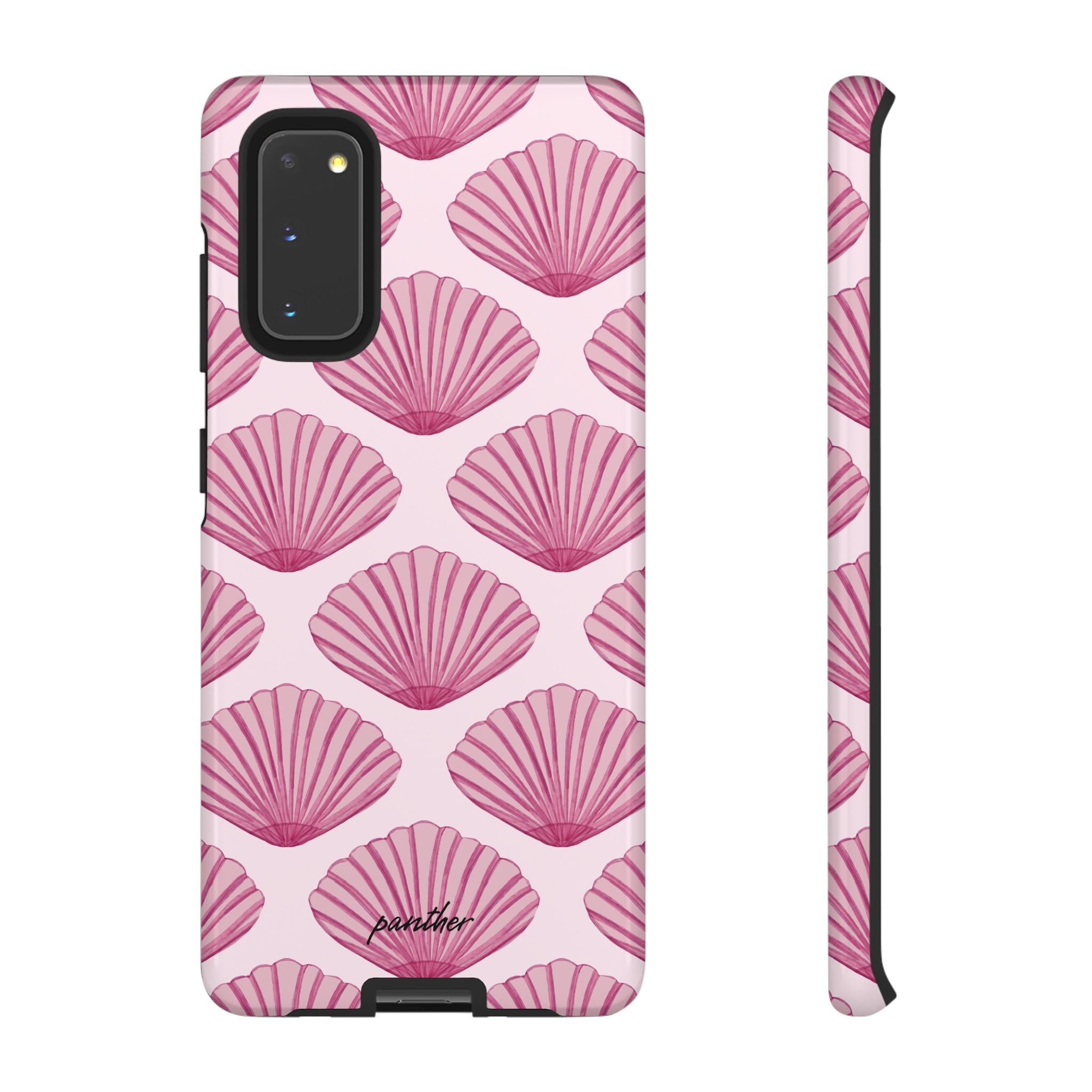Coastal Shells