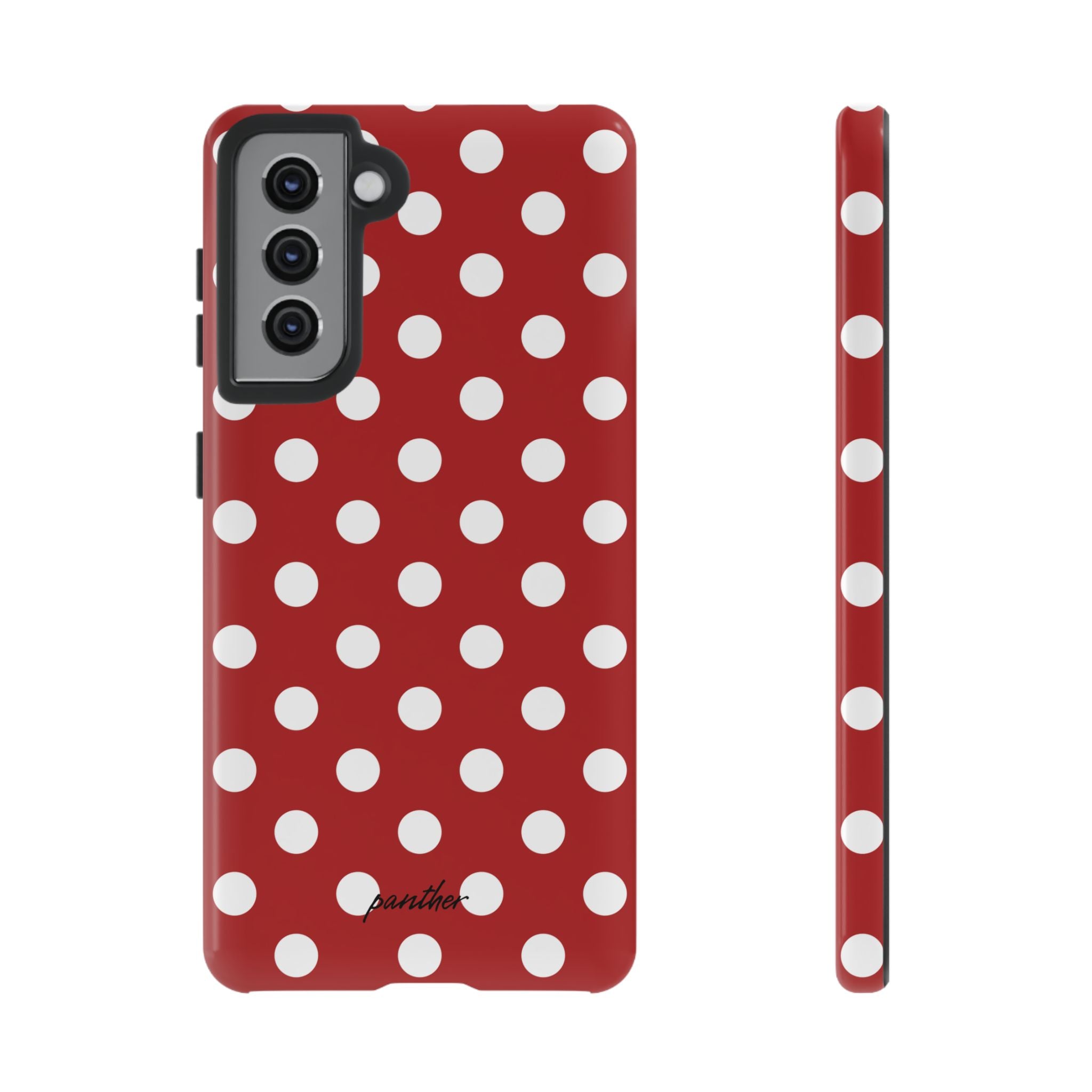 Ladybug V4