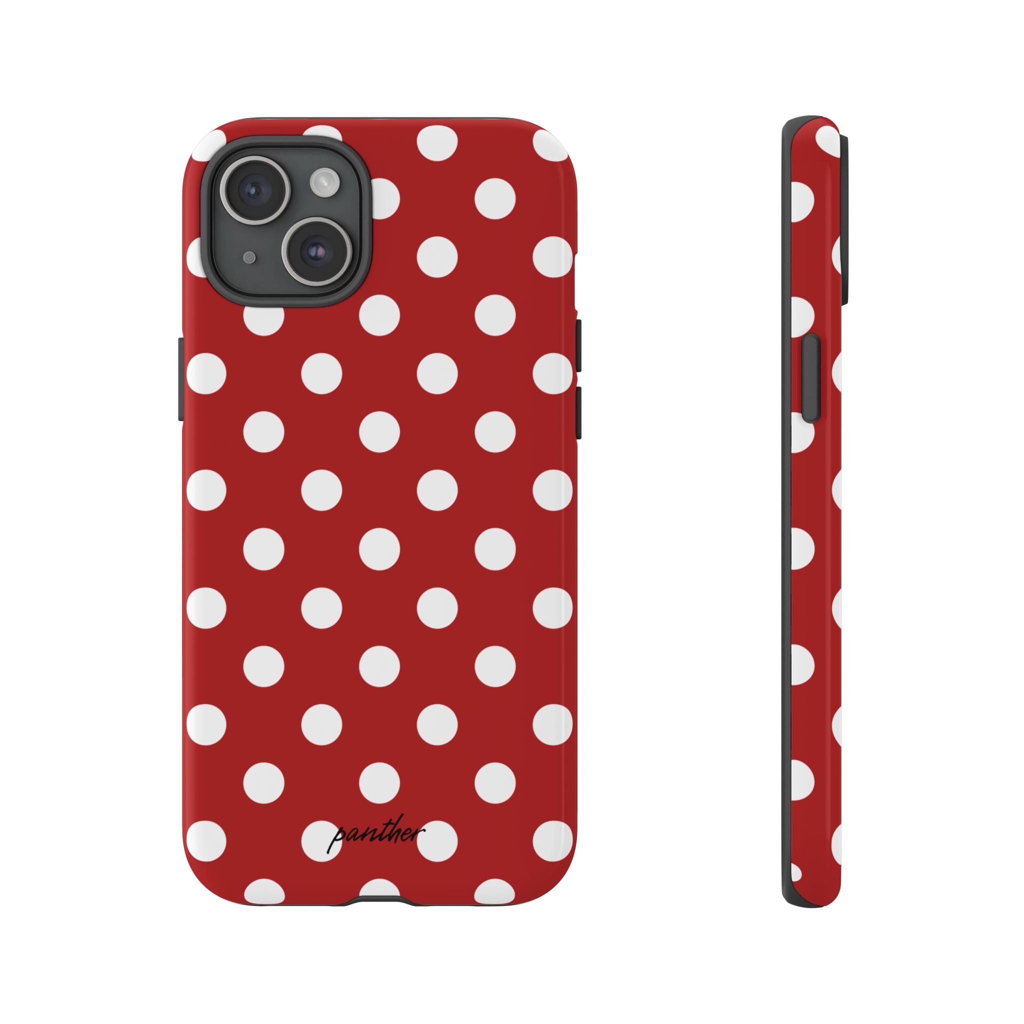 Ladybug V4