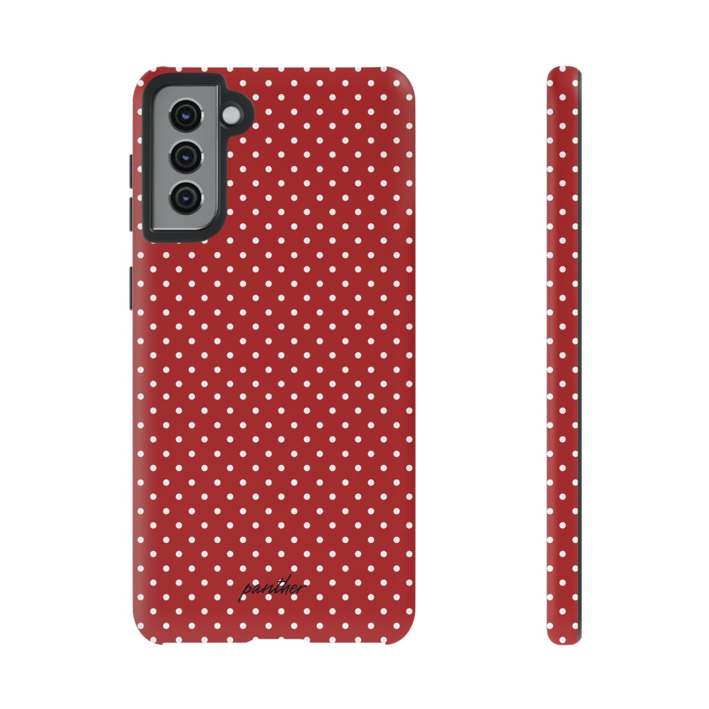 Ladybug V3
