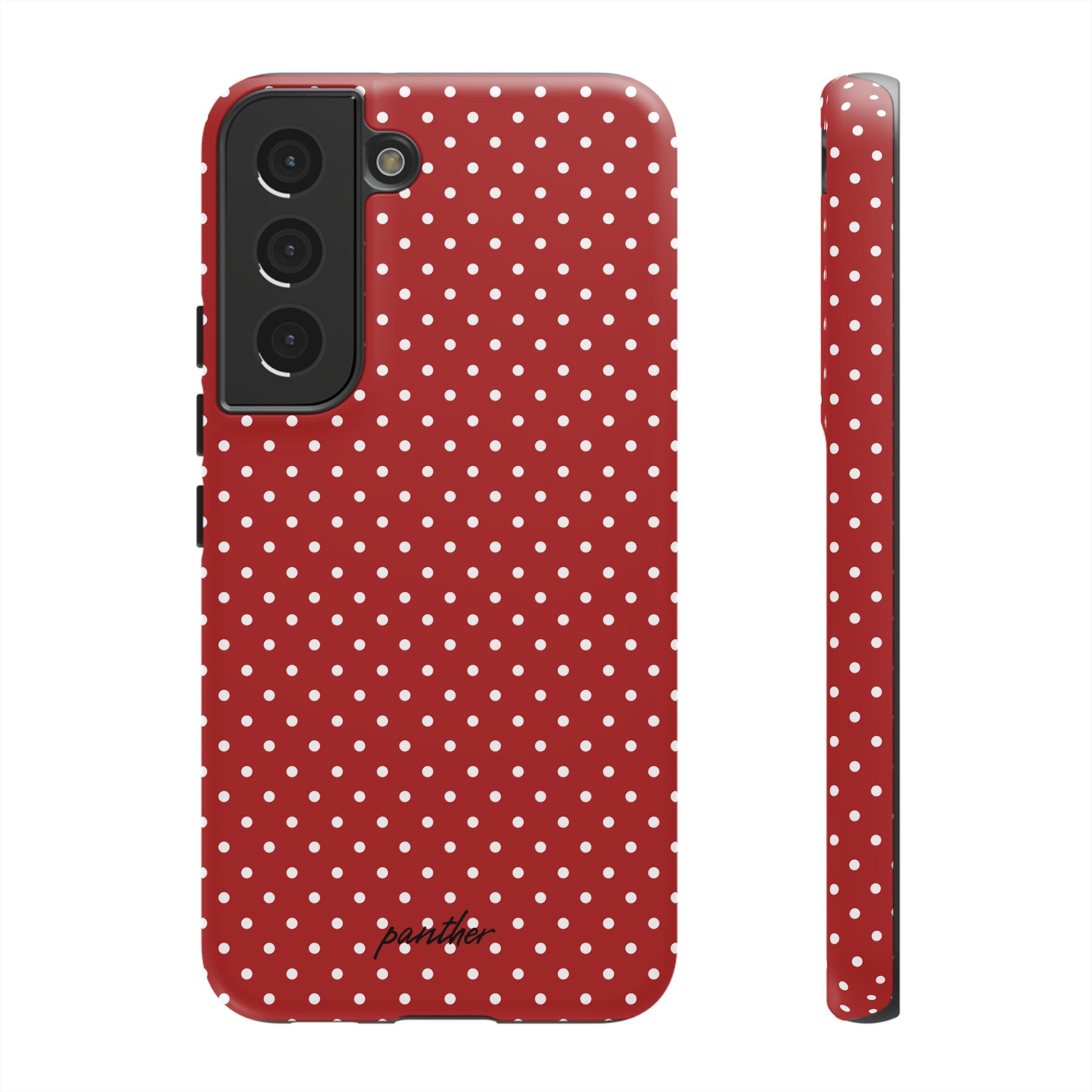 Ladybug V3