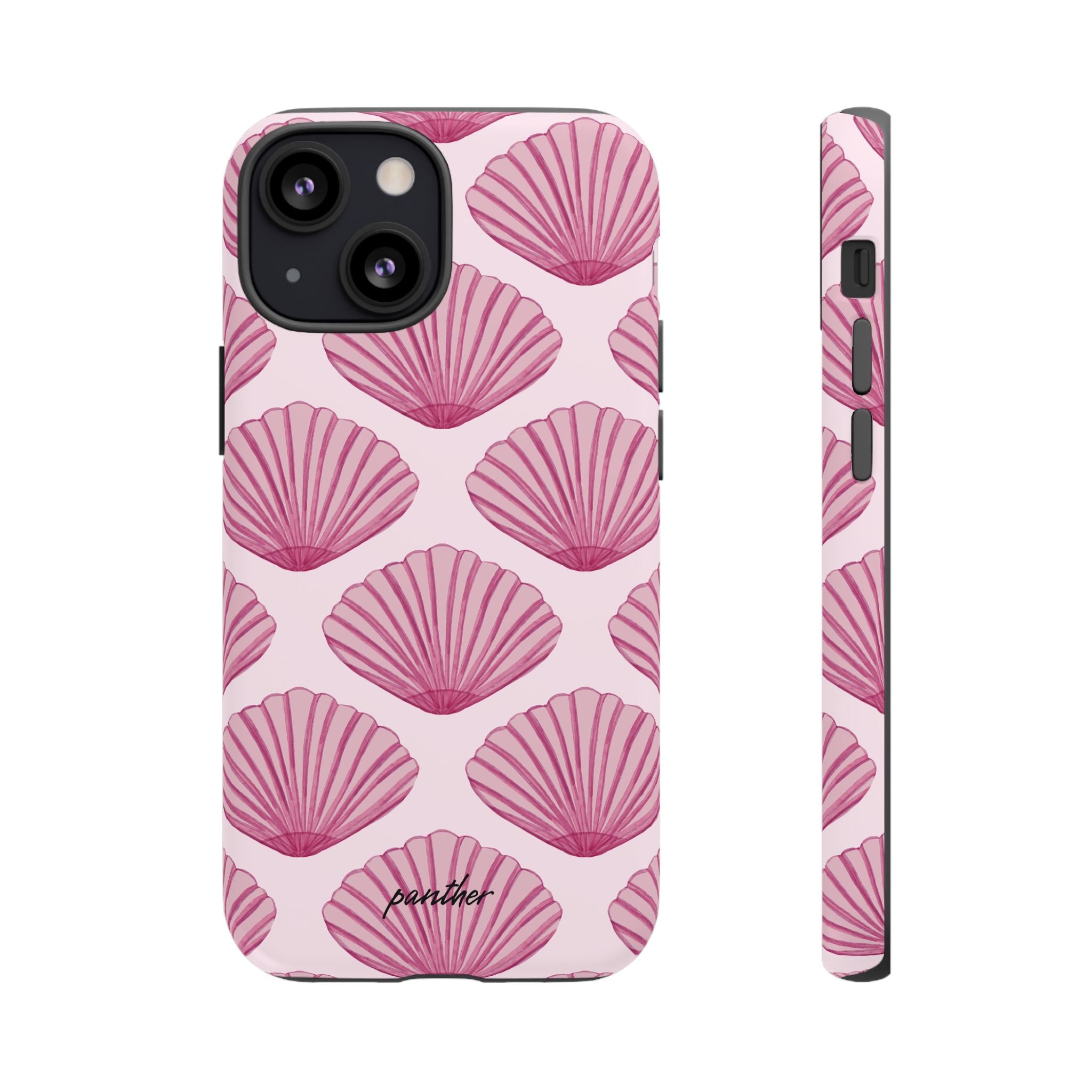 Coastal Shells