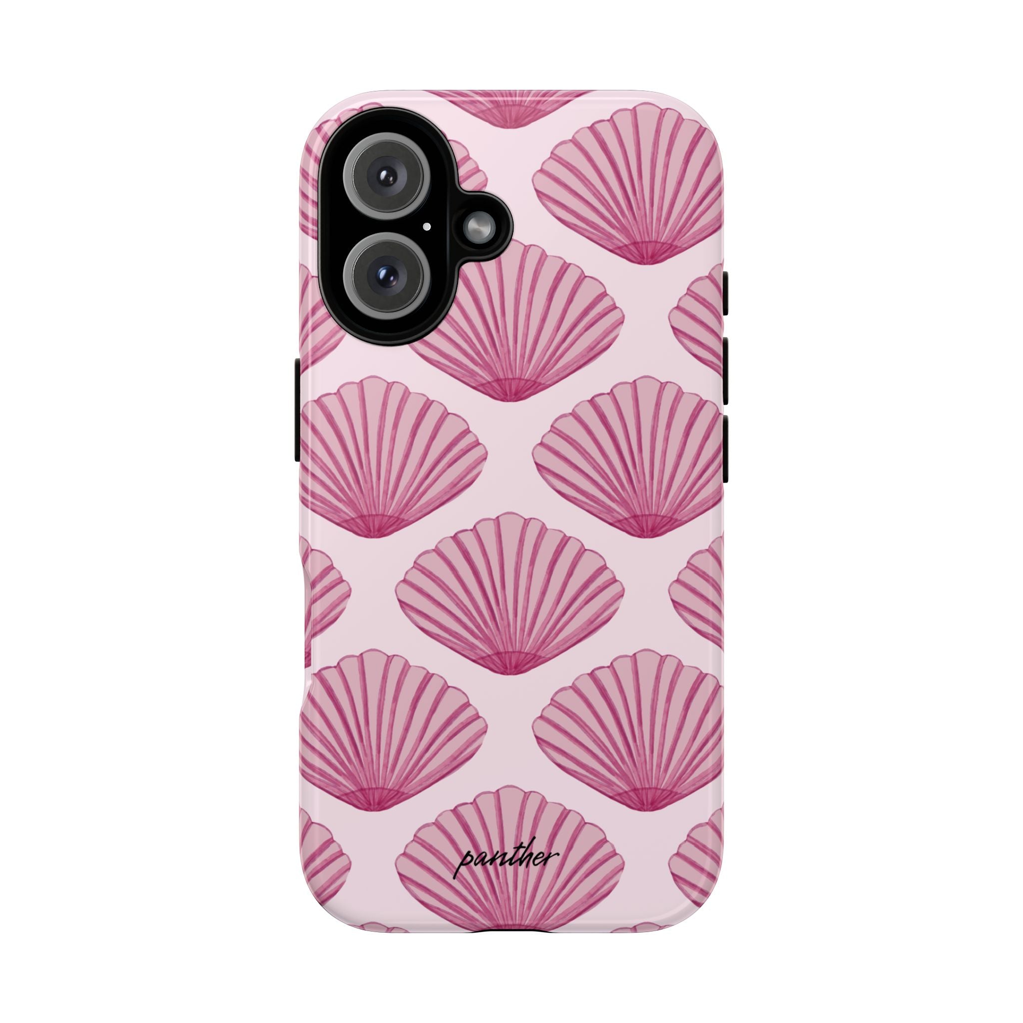 Coastal Shells