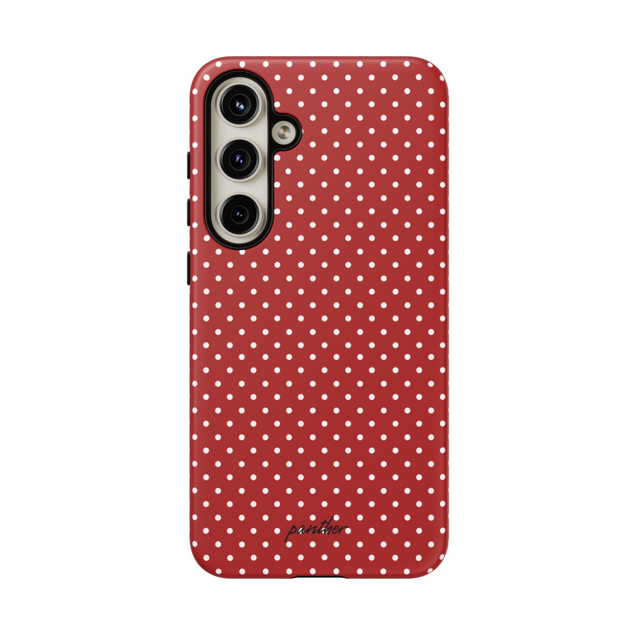 Ladybug V3