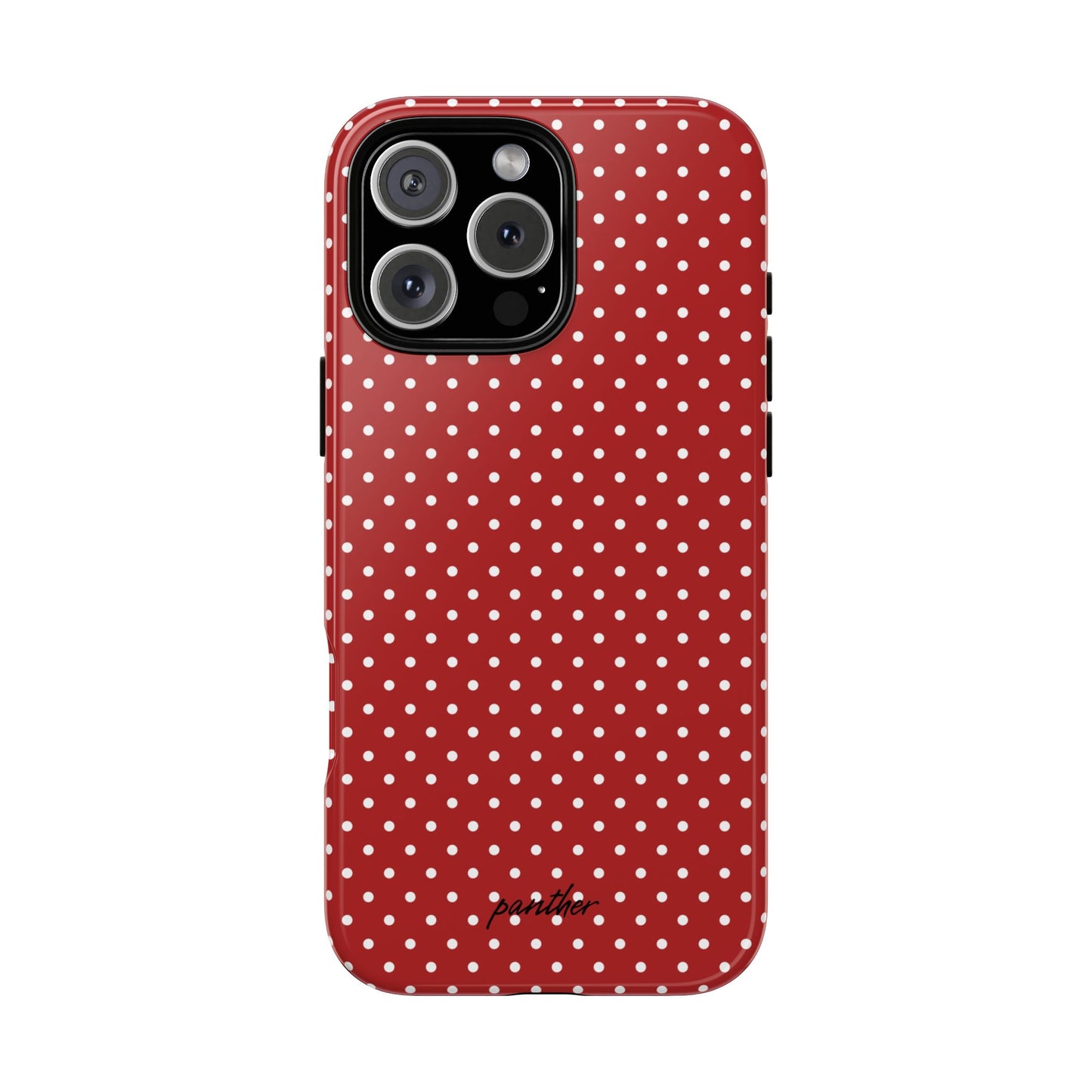 Ladybug V3