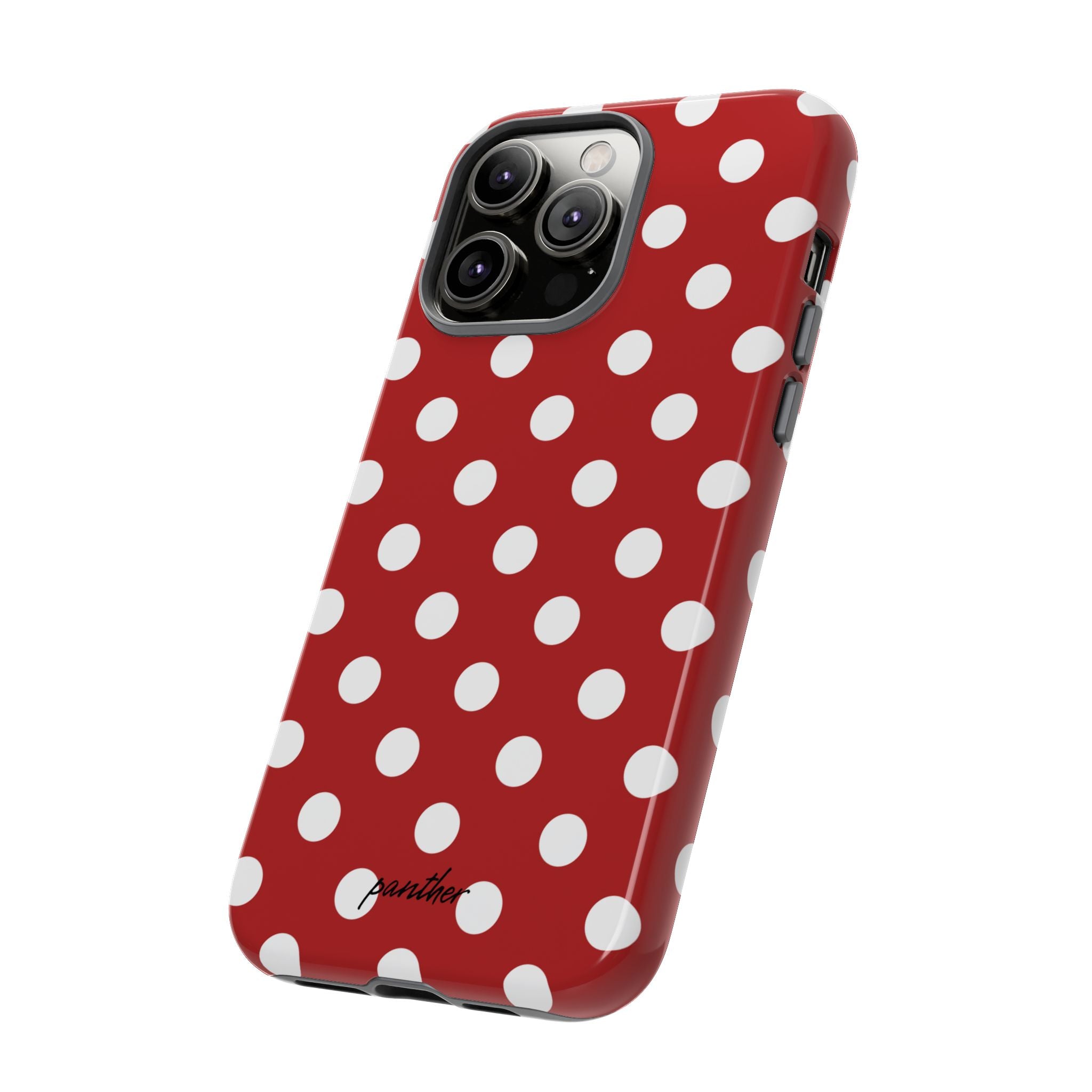 Ladybug V4
