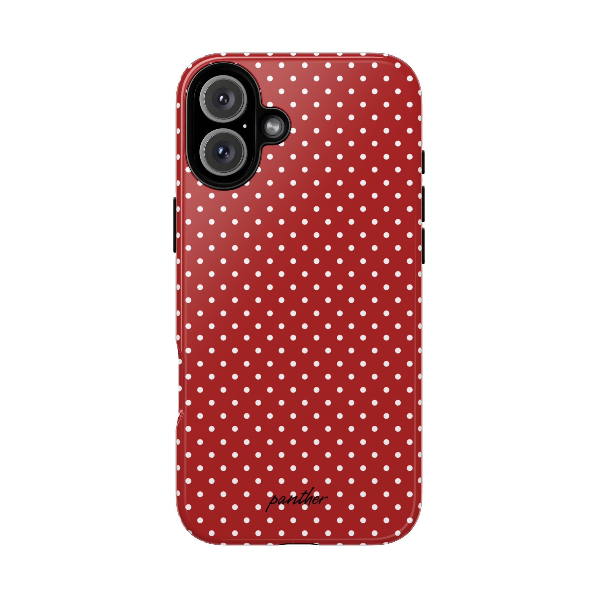 Ladybug V3