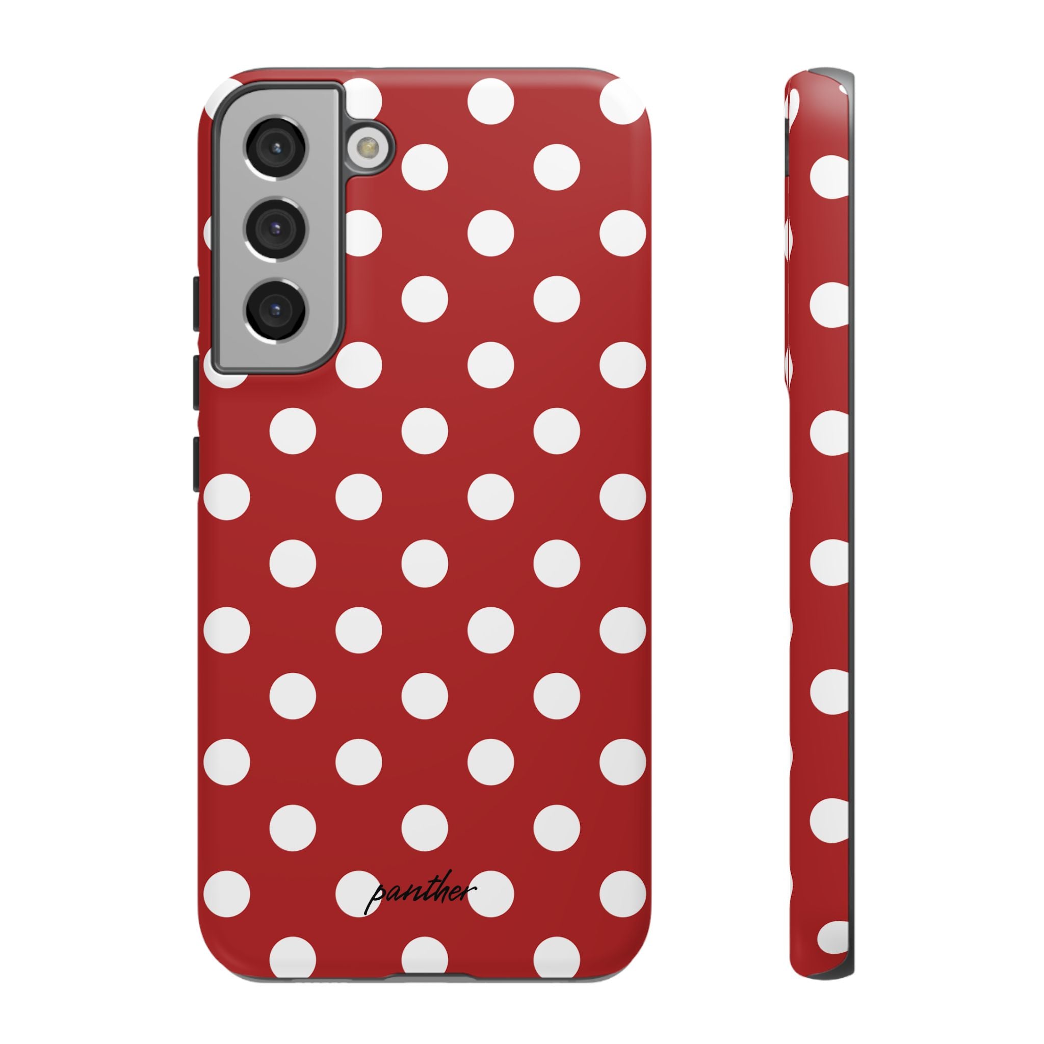 Ladybug V4