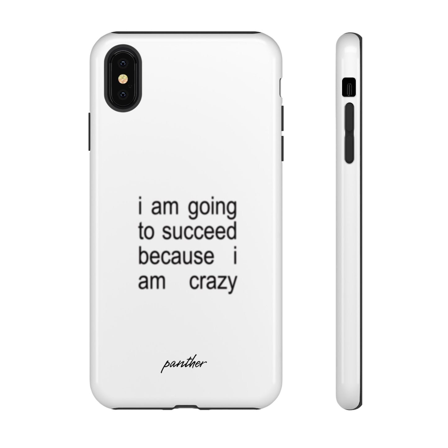 I Am Going To Succeed Because I Am Crazy