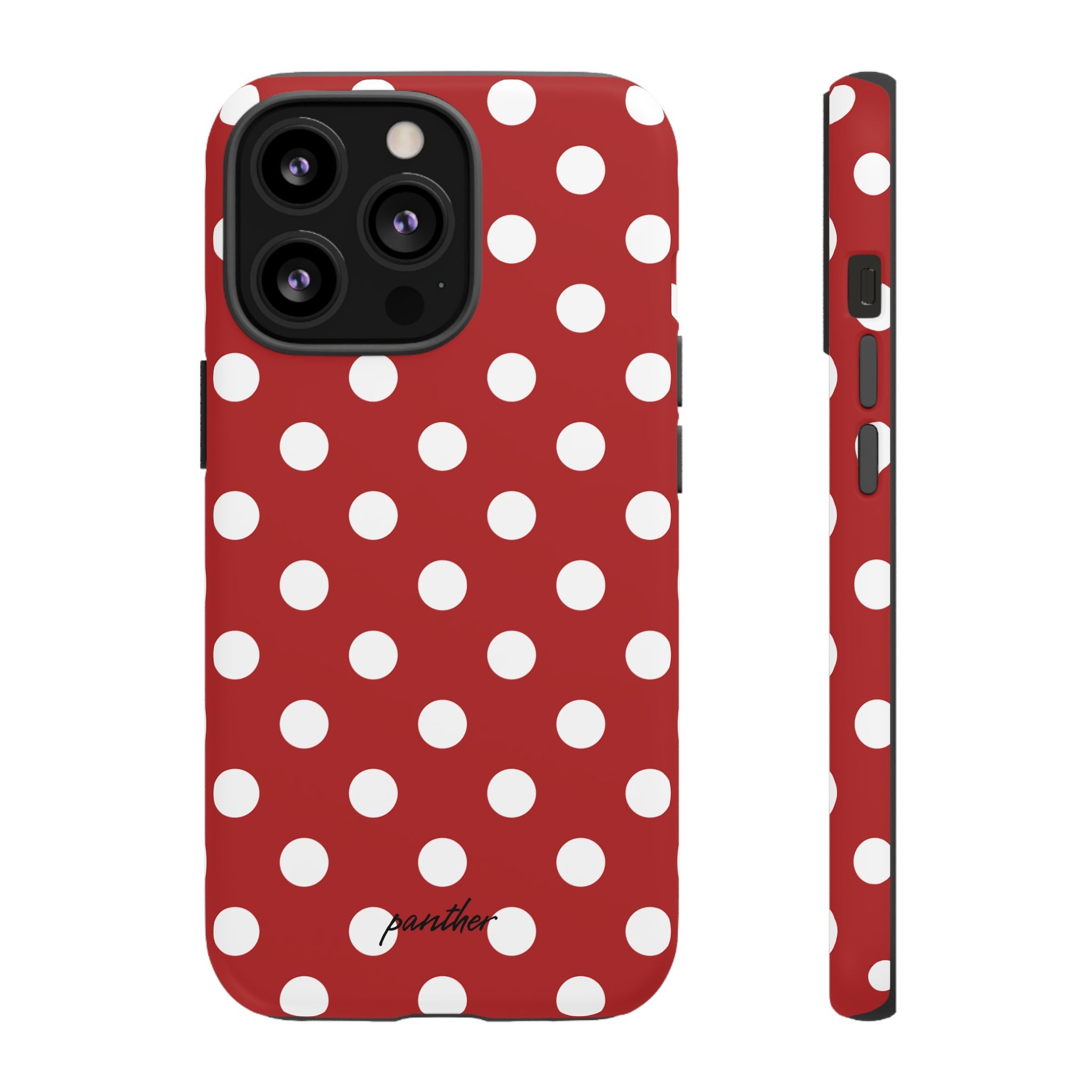 Ladybug V4