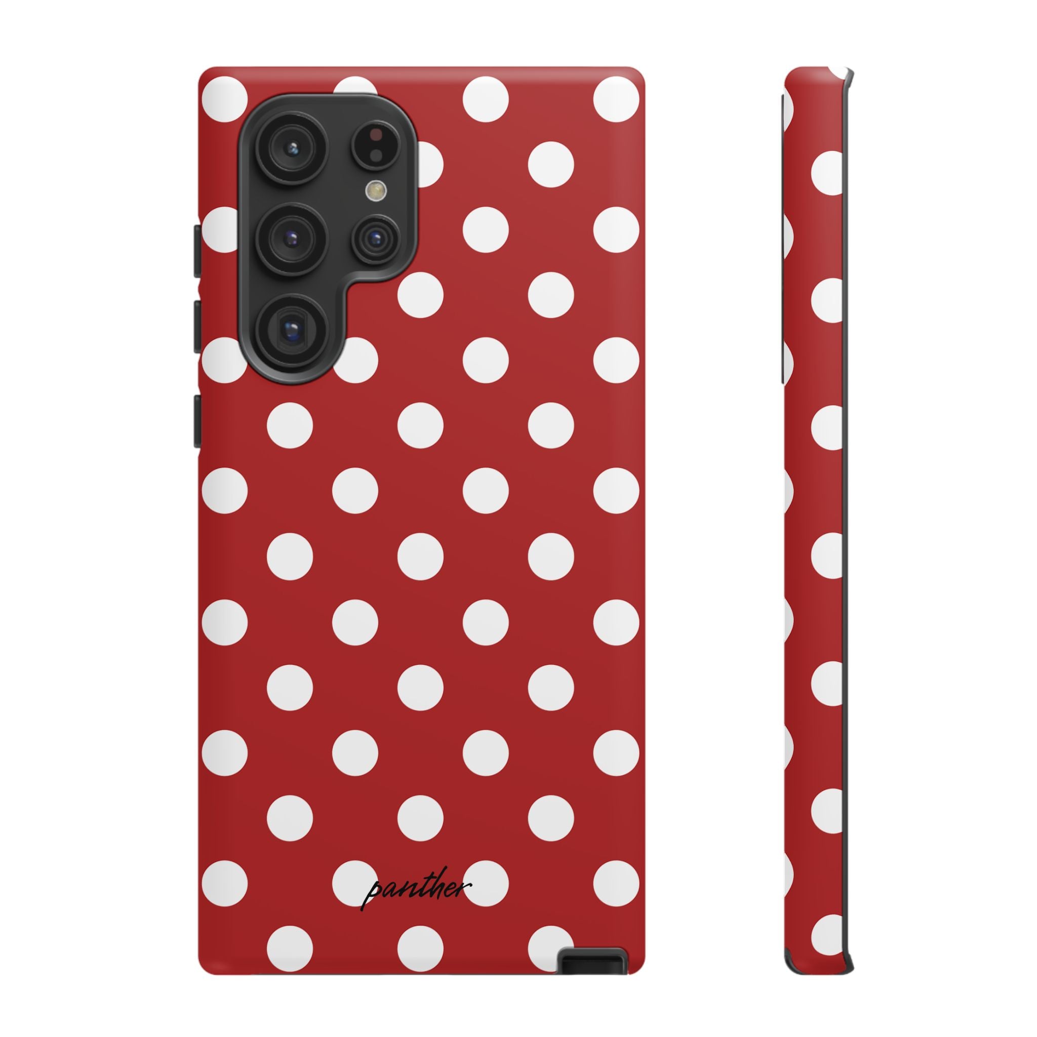 Ladybug V4