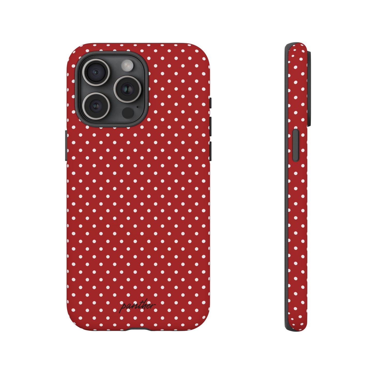 Ladybug V3