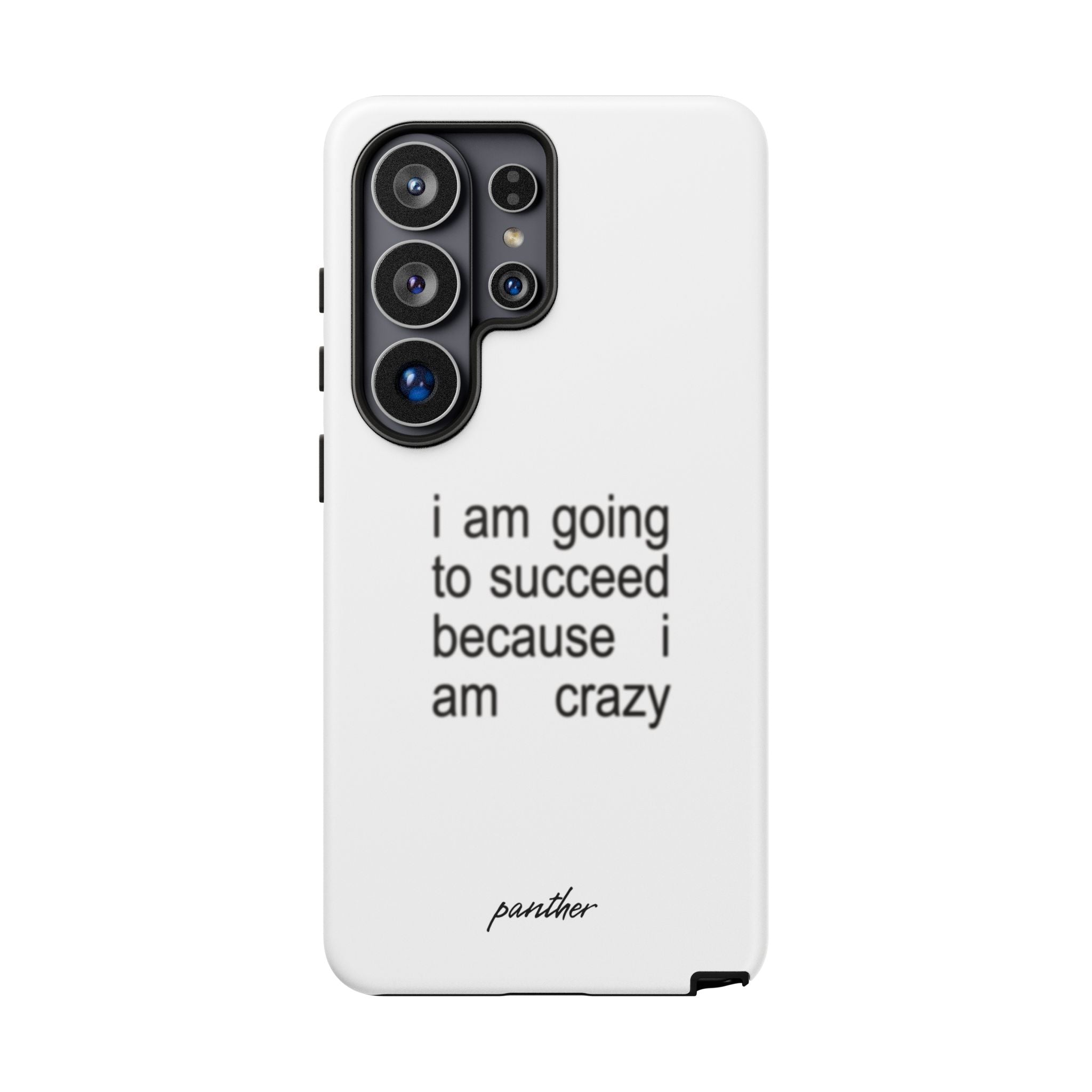 I Am Going To Succeed Because I Am Crazy