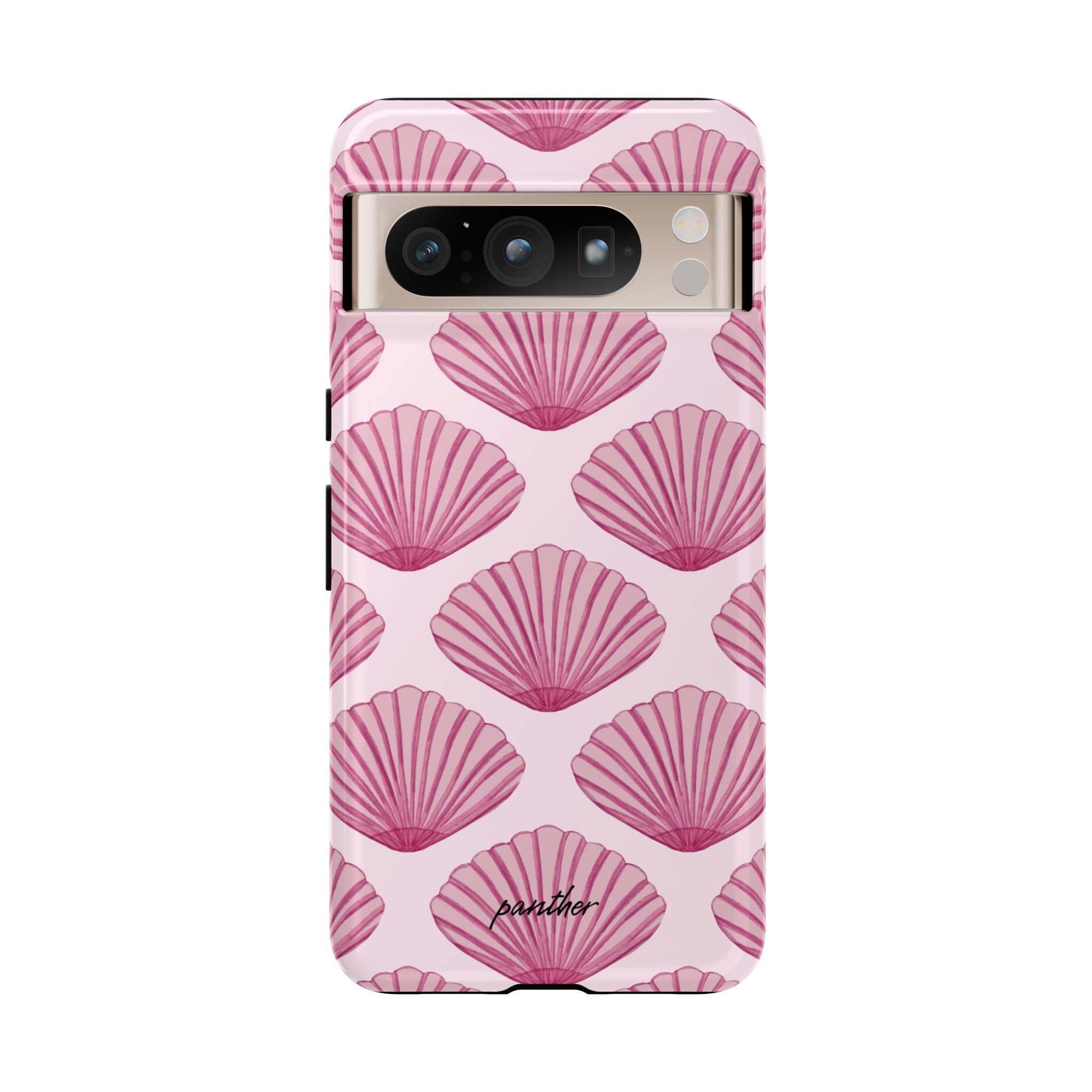 Coastal Shells
