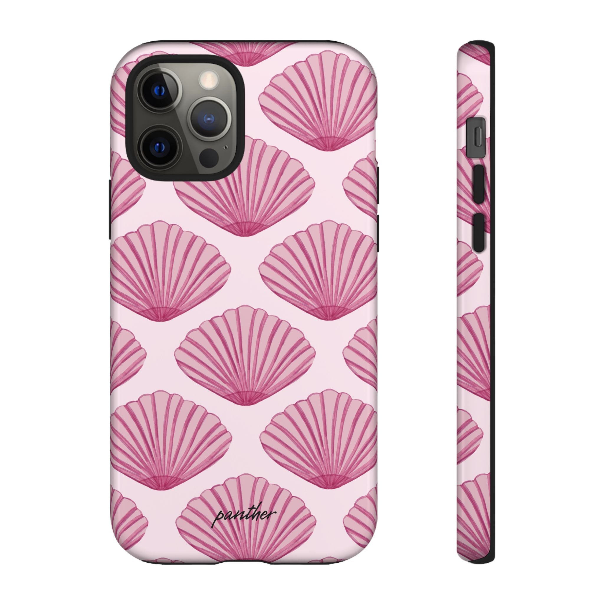 Coastal Shells