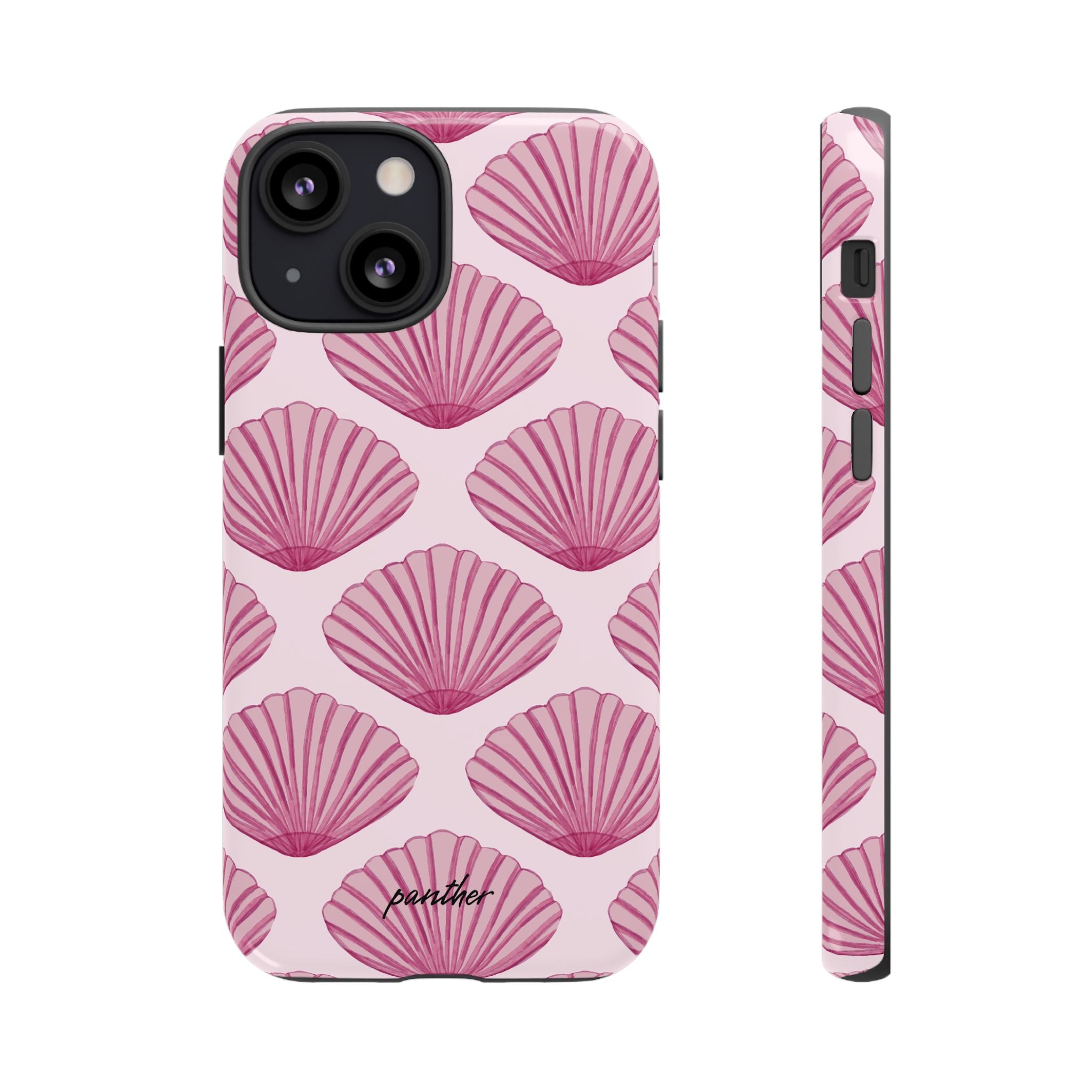 Coastal Shells