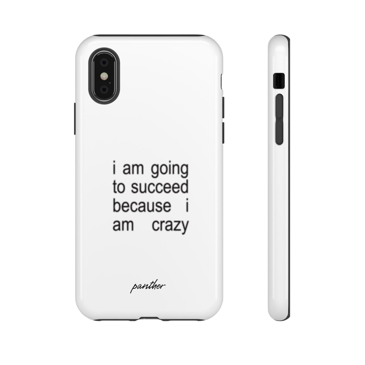 I Am Going To Succeed Because I Am Crazy