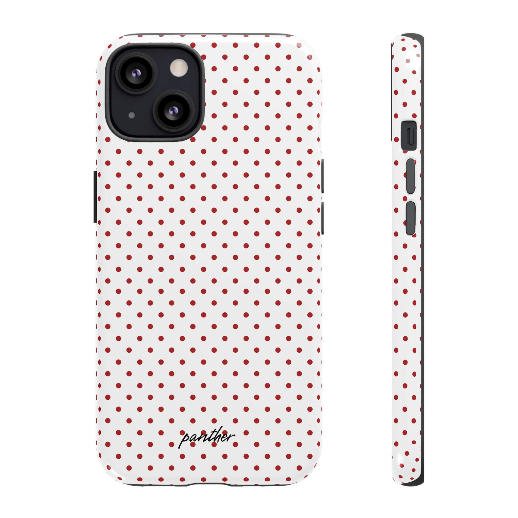 Ladybug V2