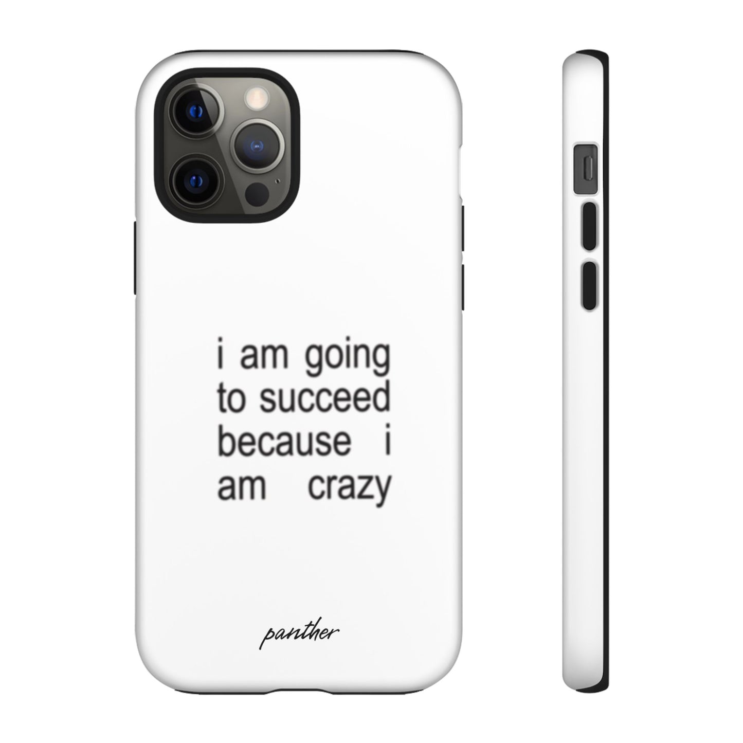 I Am Going To Succeed Because I Am Crazy