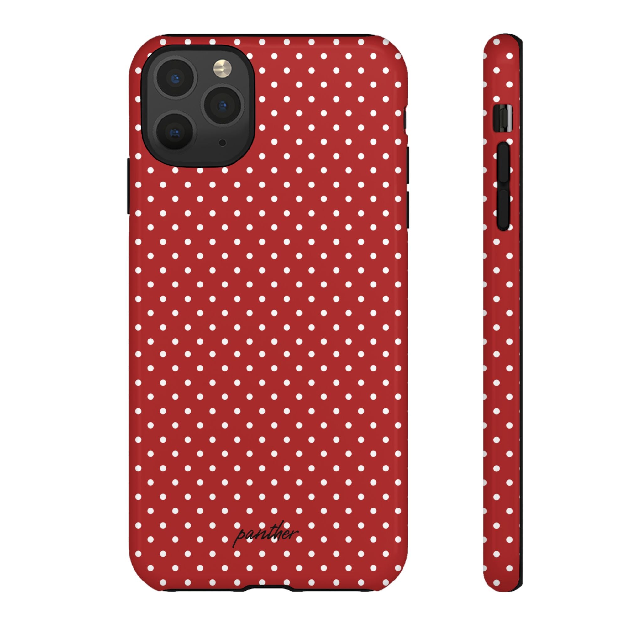 Ladybug V3