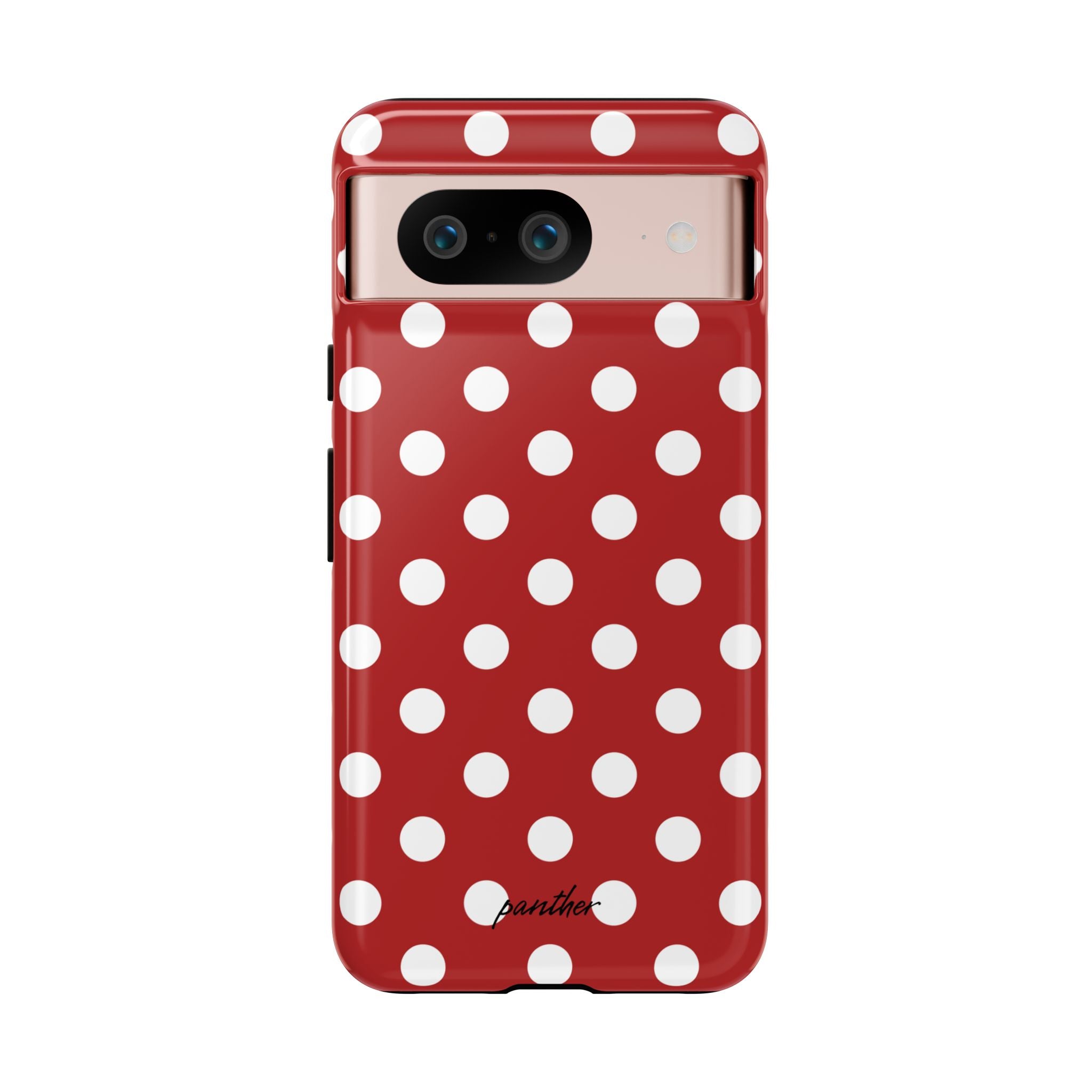 Ladybug V4