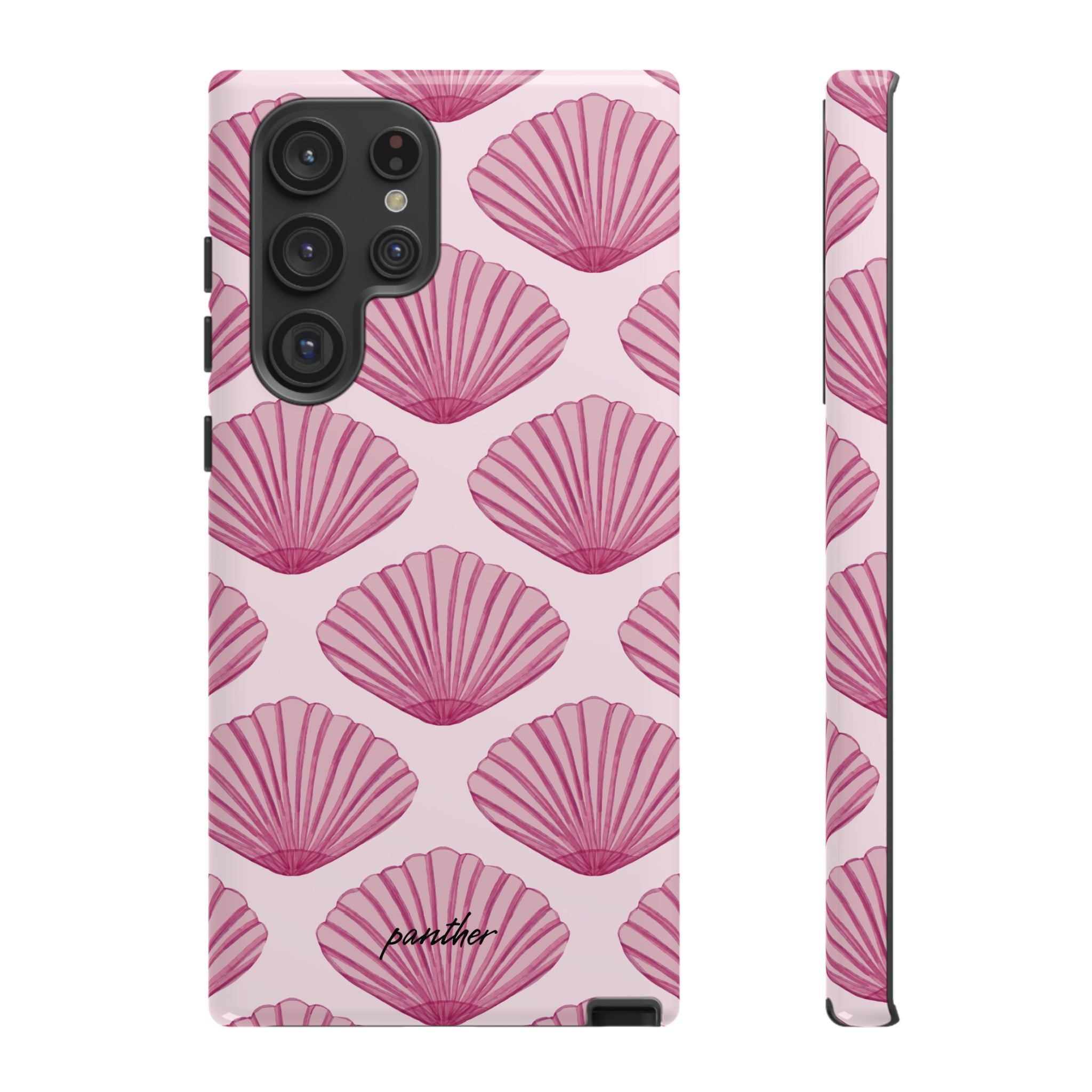 Coastal Shells
