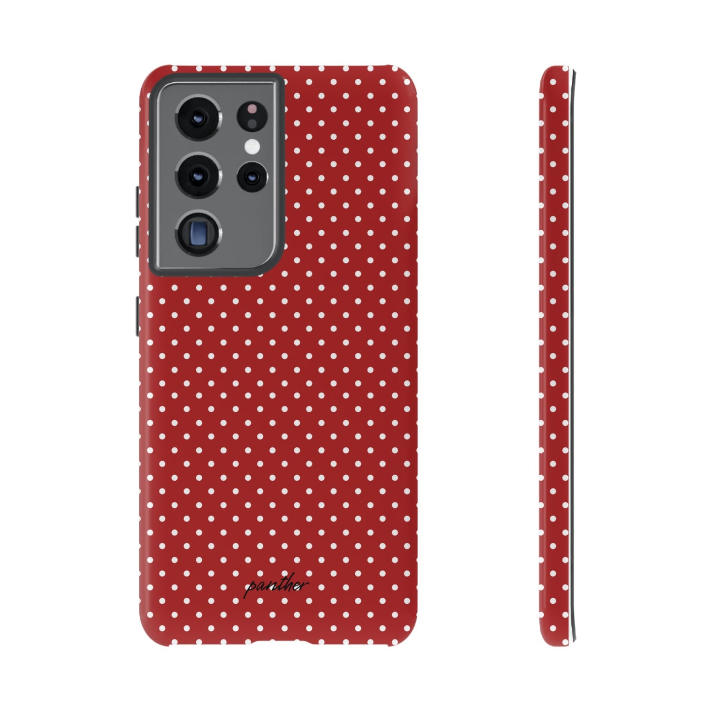 Ladybug V3