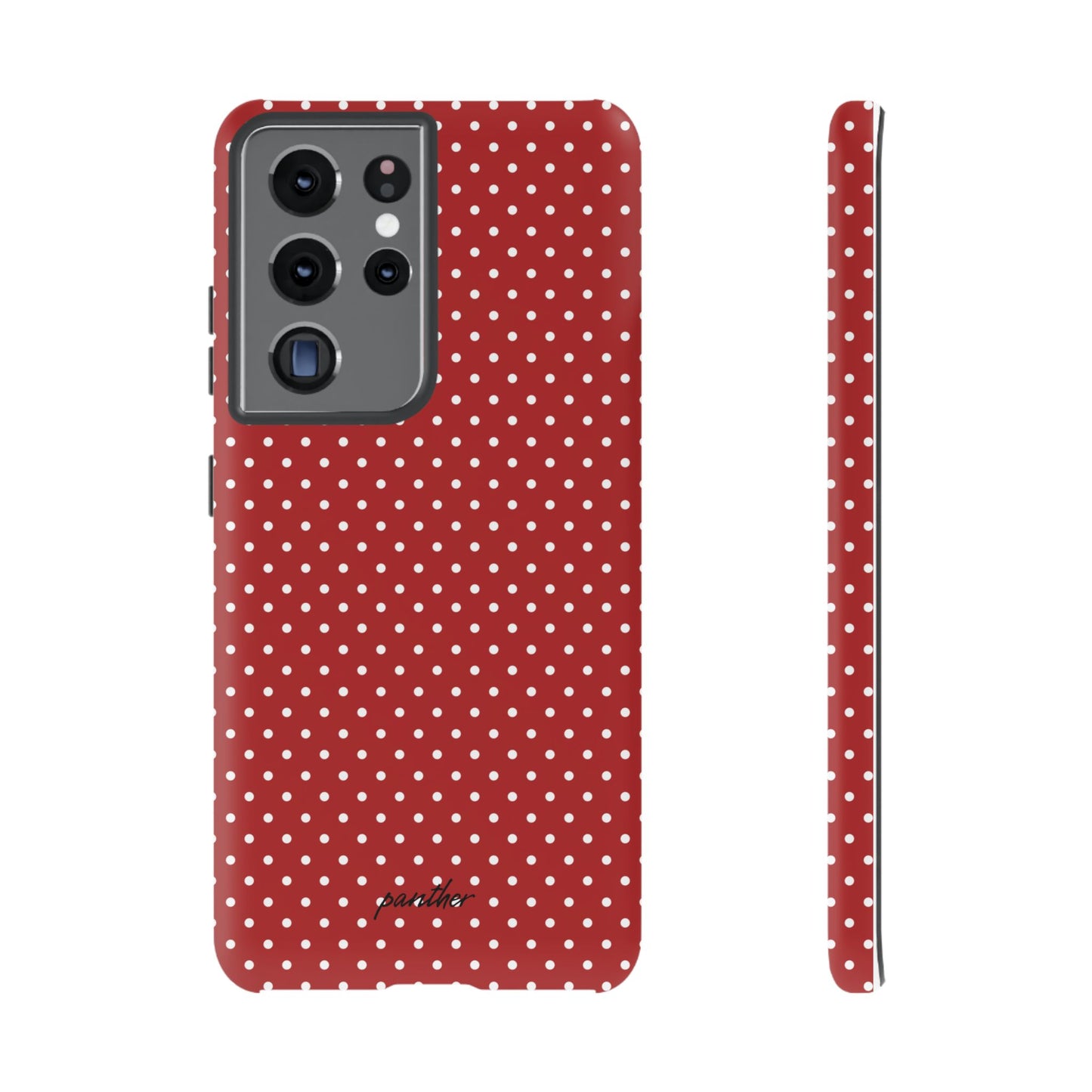 Ladybug V3