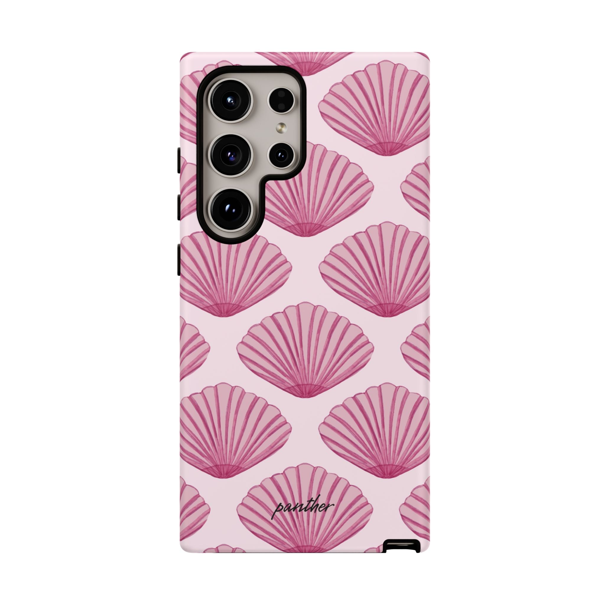 Coastal Shells