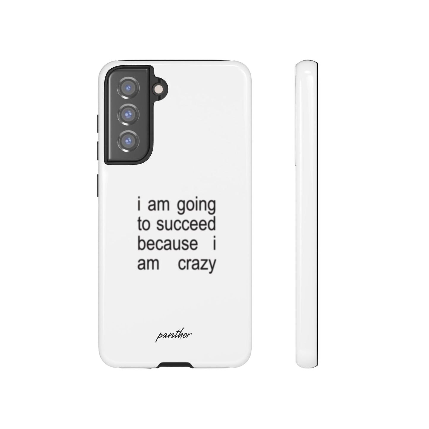 I Am Going To Succeed Because I Am Crazy