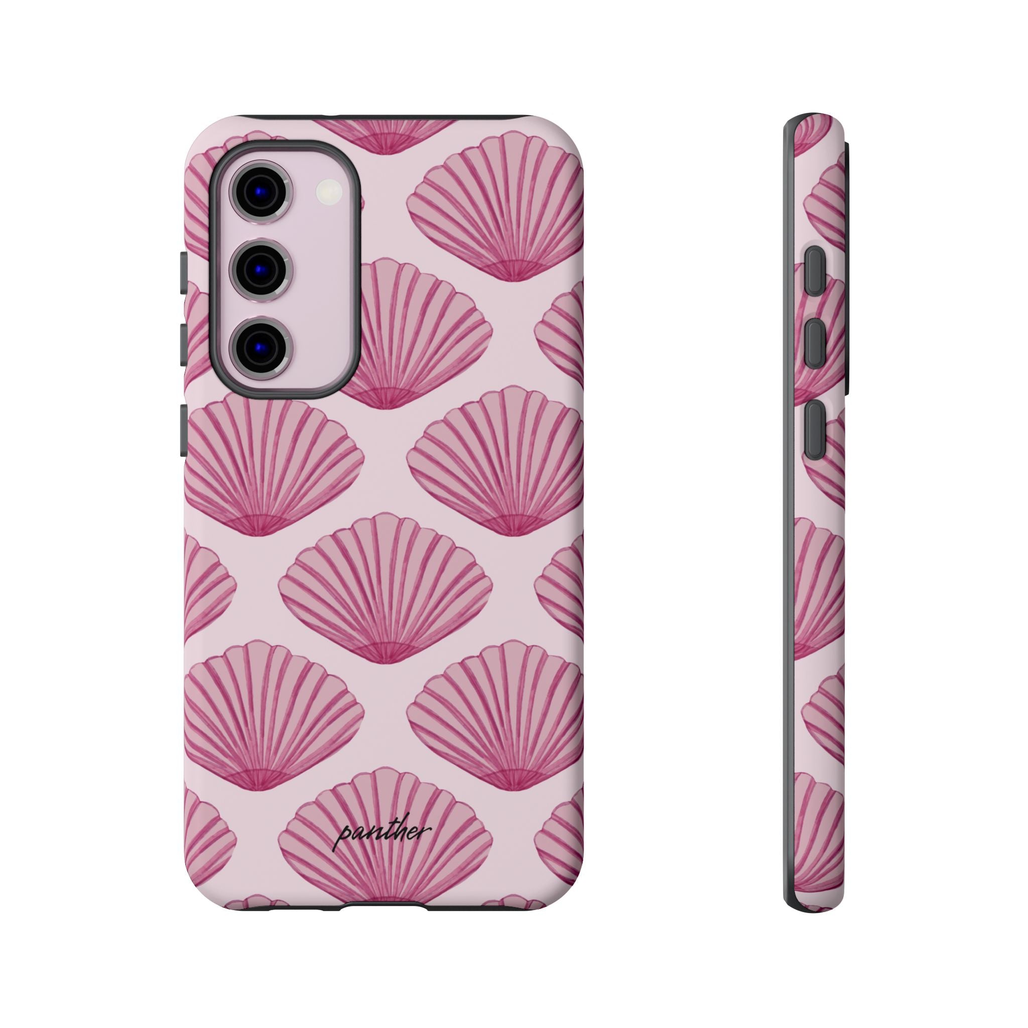 Coastal Shells