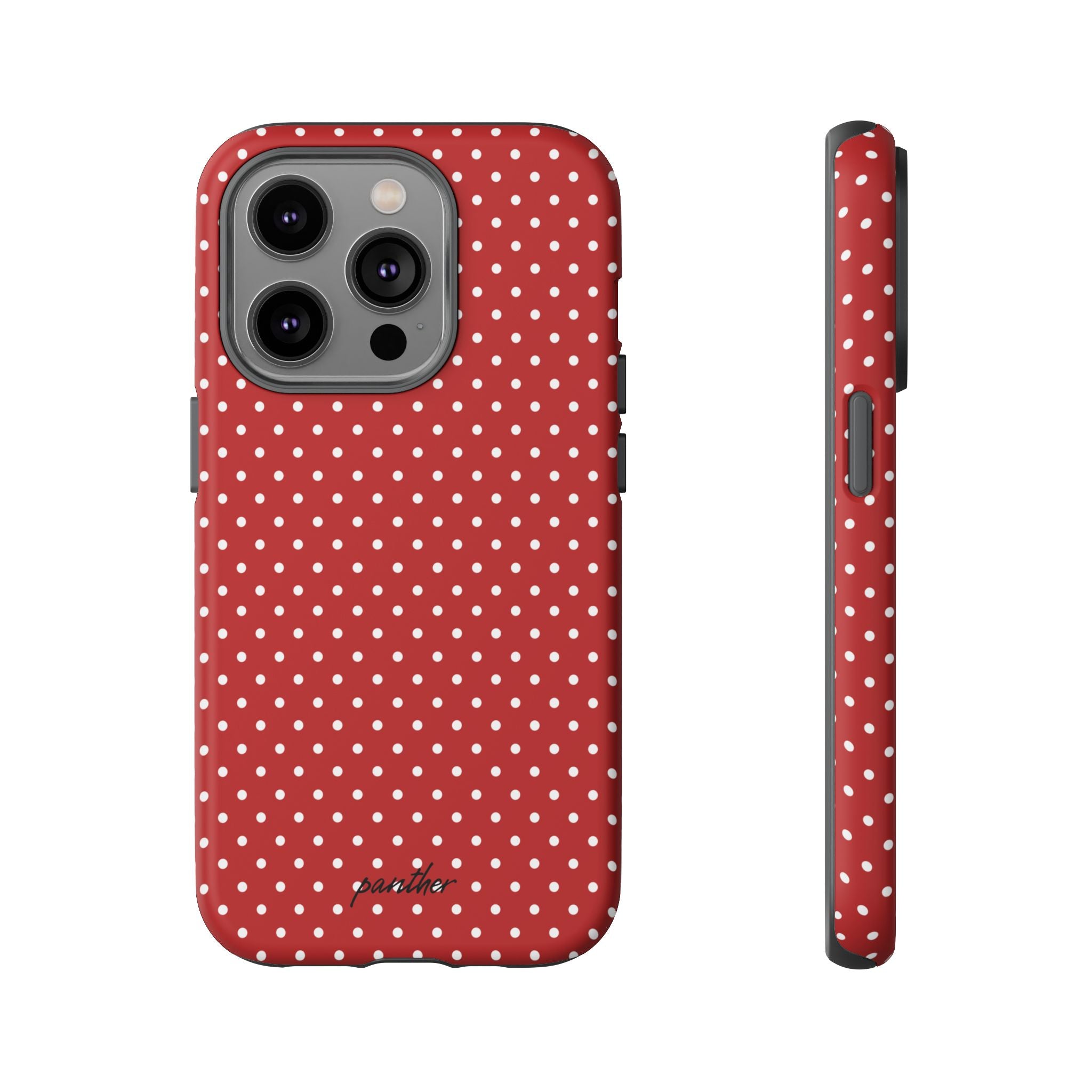Ladybug V3