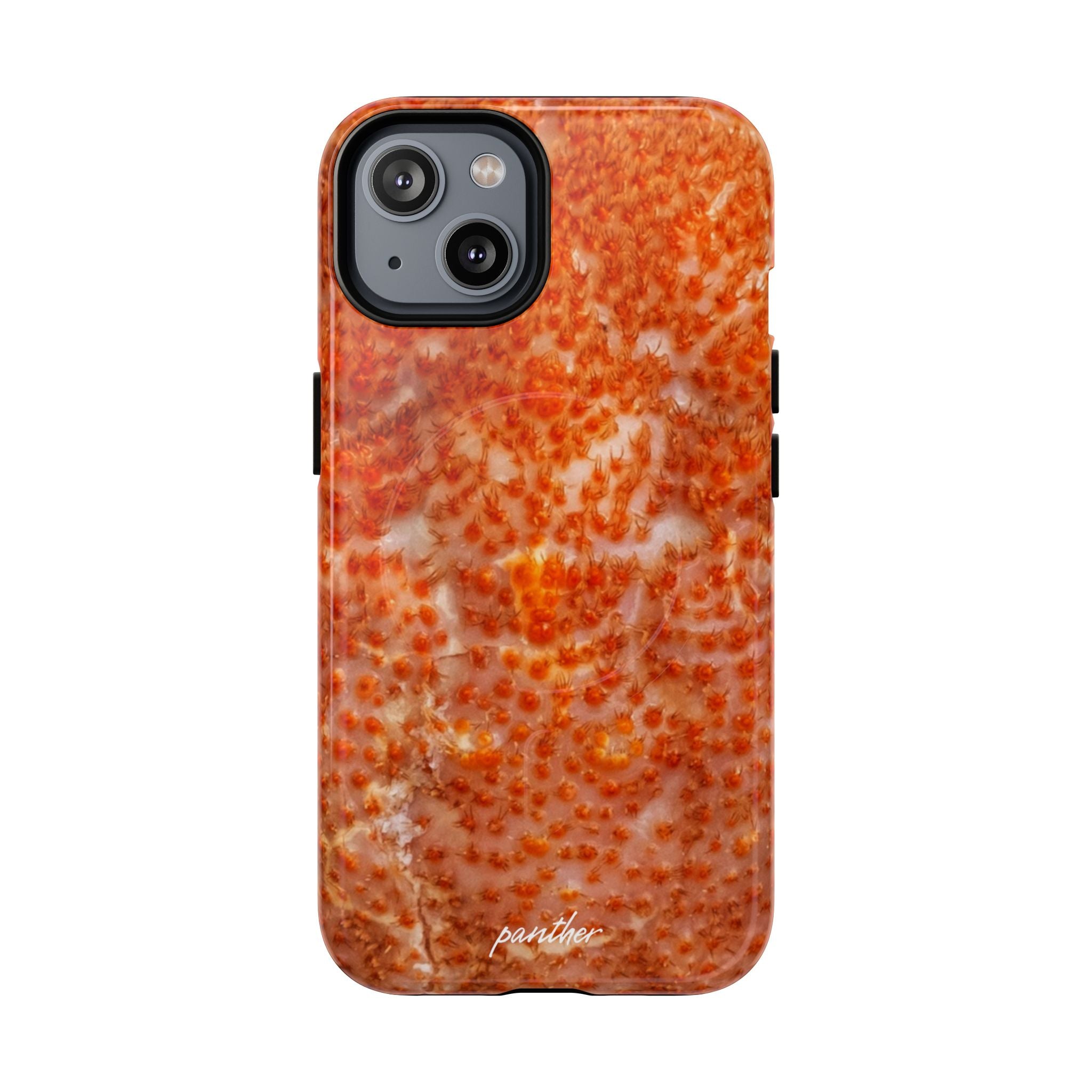 Reef (magsafe)