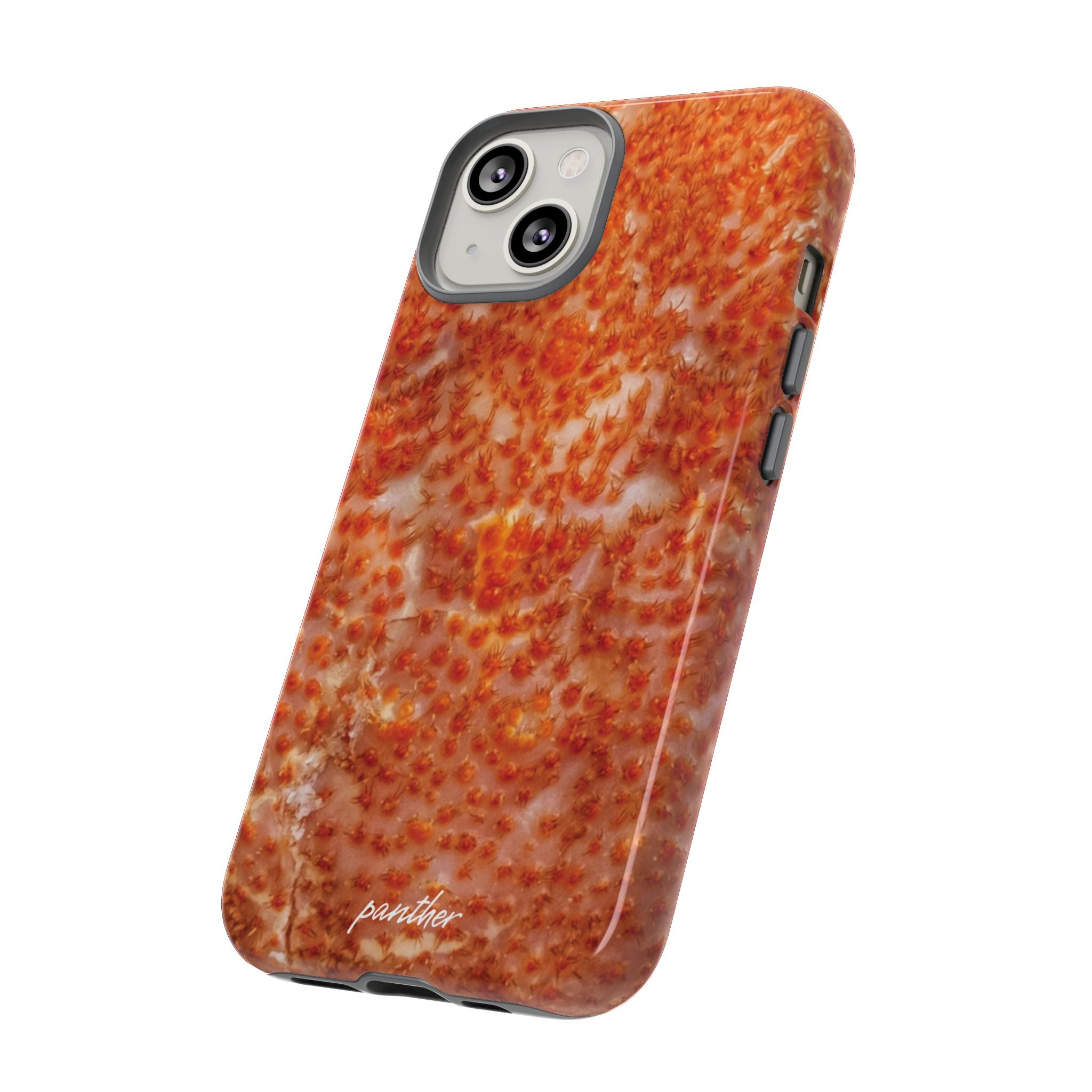 Reef