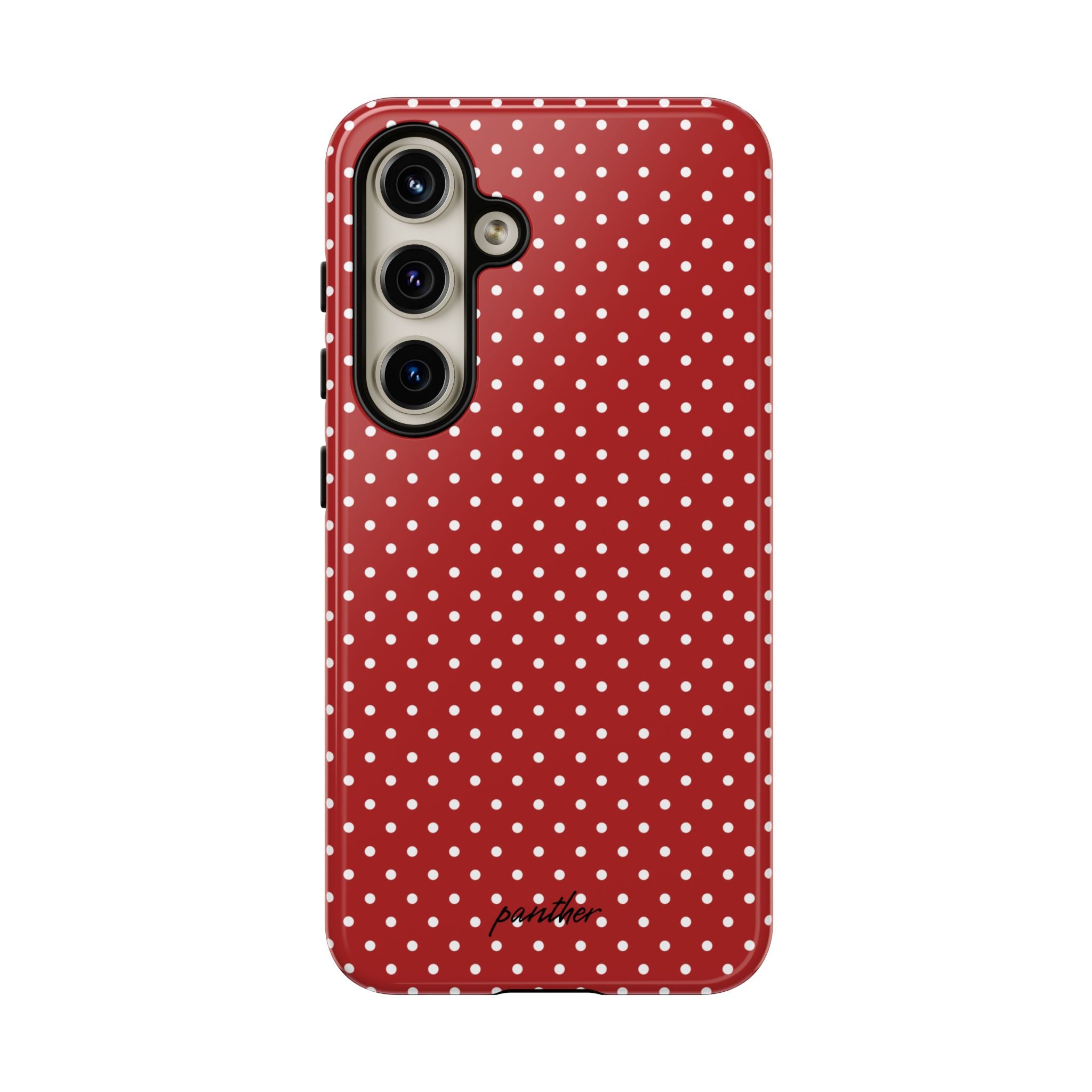 Ladybug V3