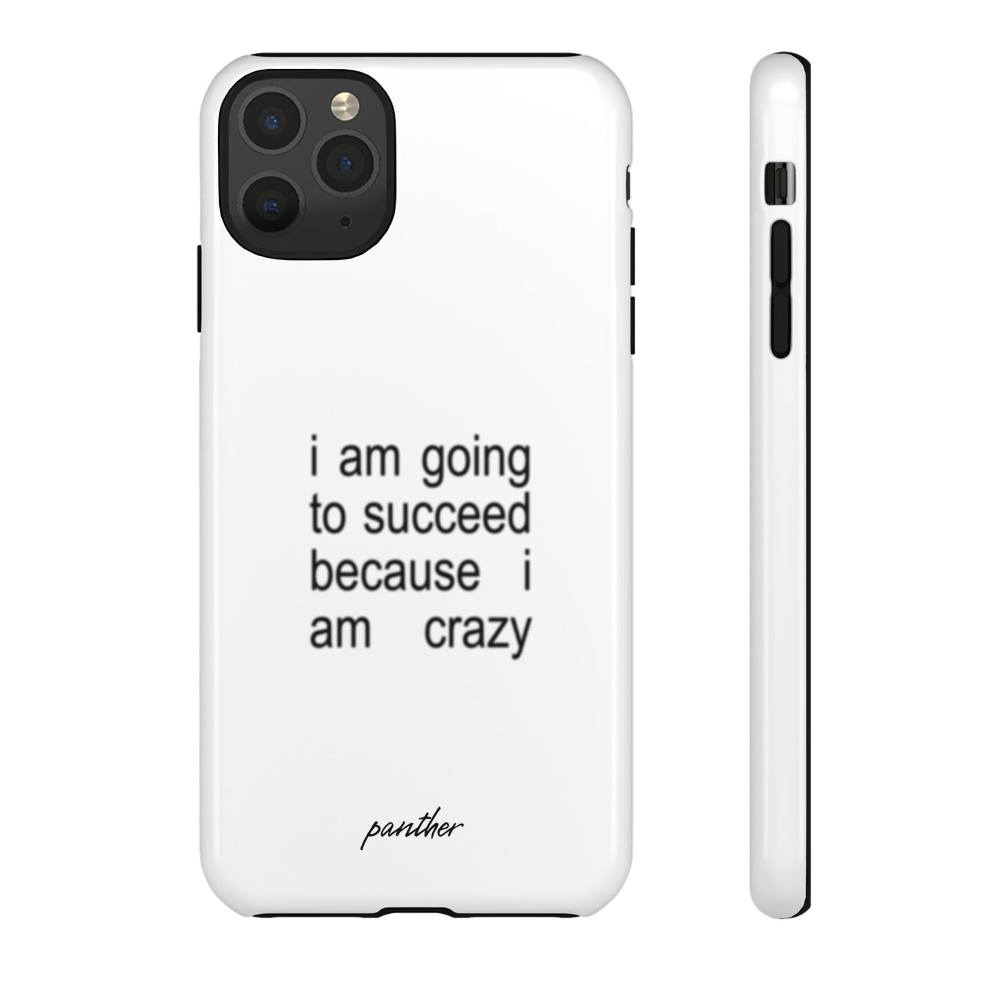 I Am Going To Succeed Because I Am Crazy