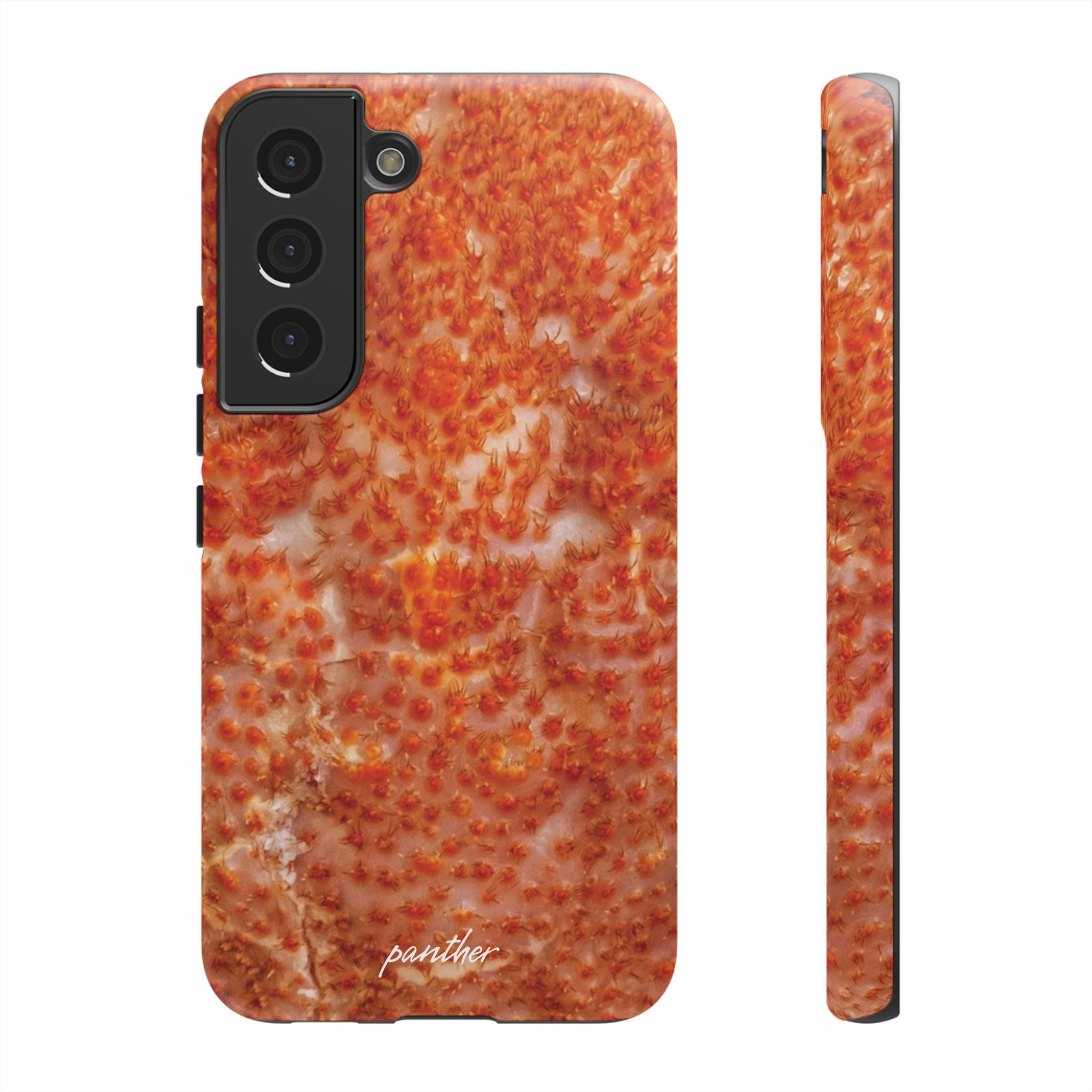 Reef
