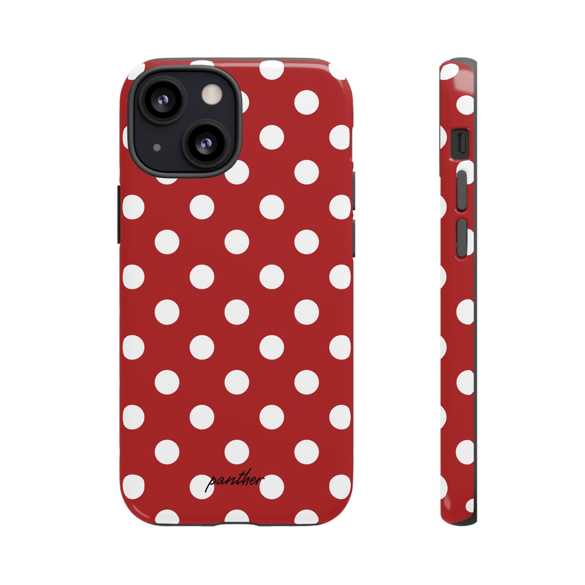 Ladybug V4