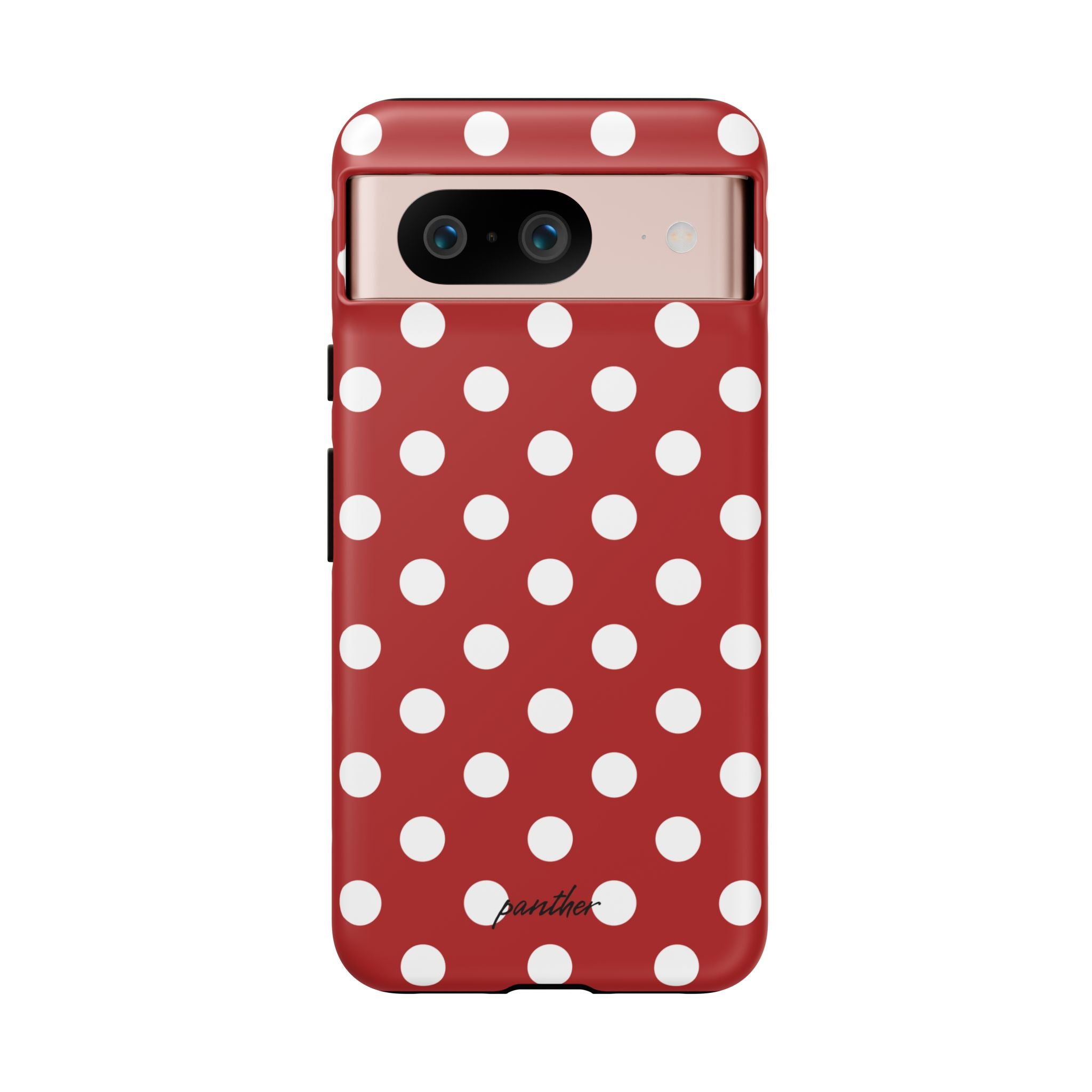 Ladybug V4