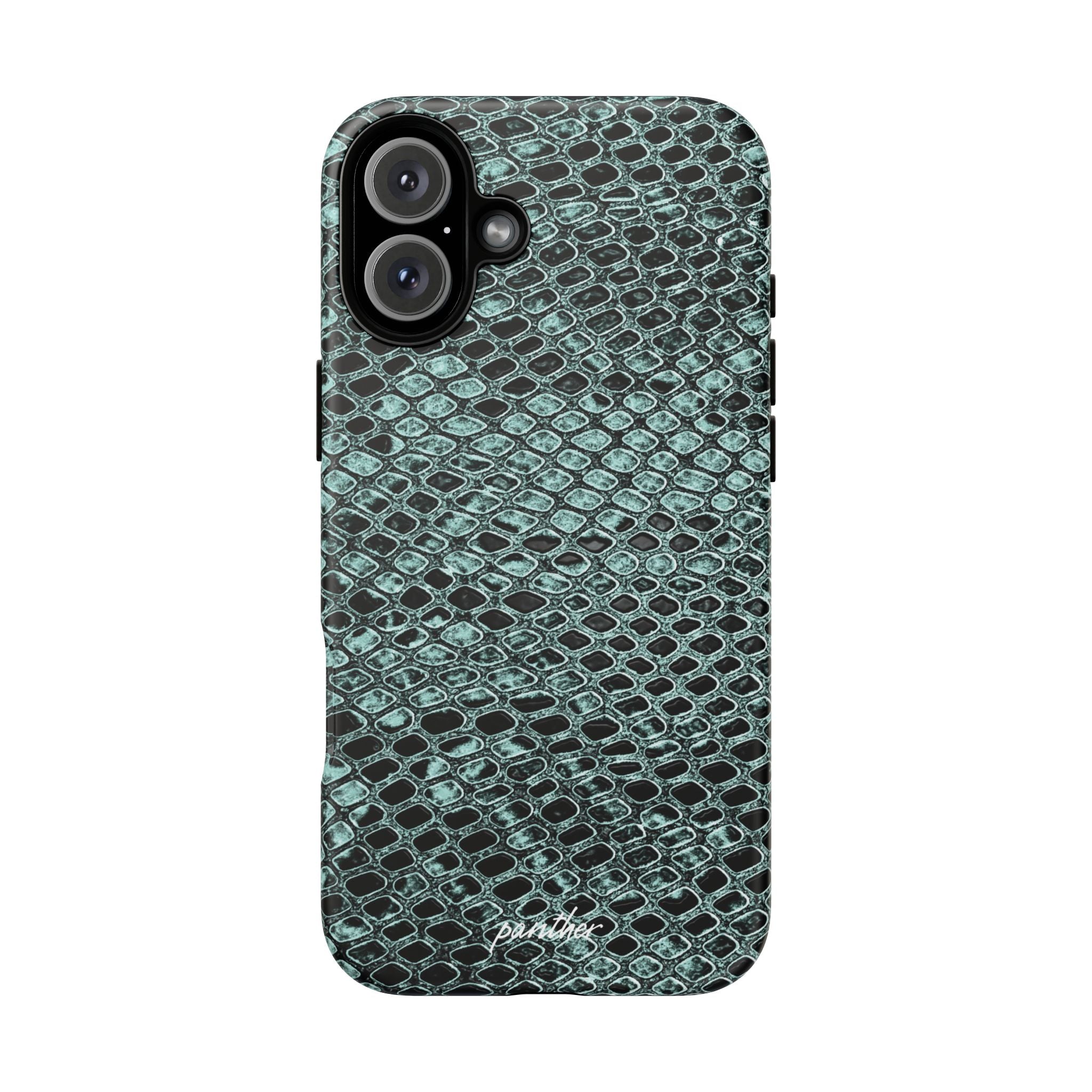 Python