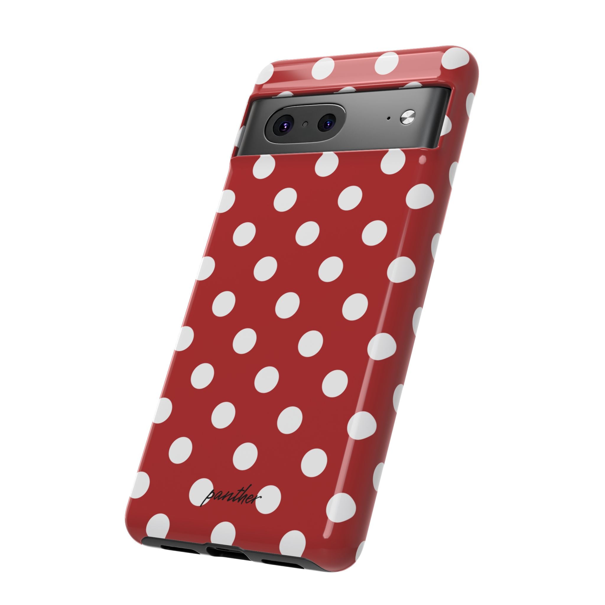 Ladybug V4