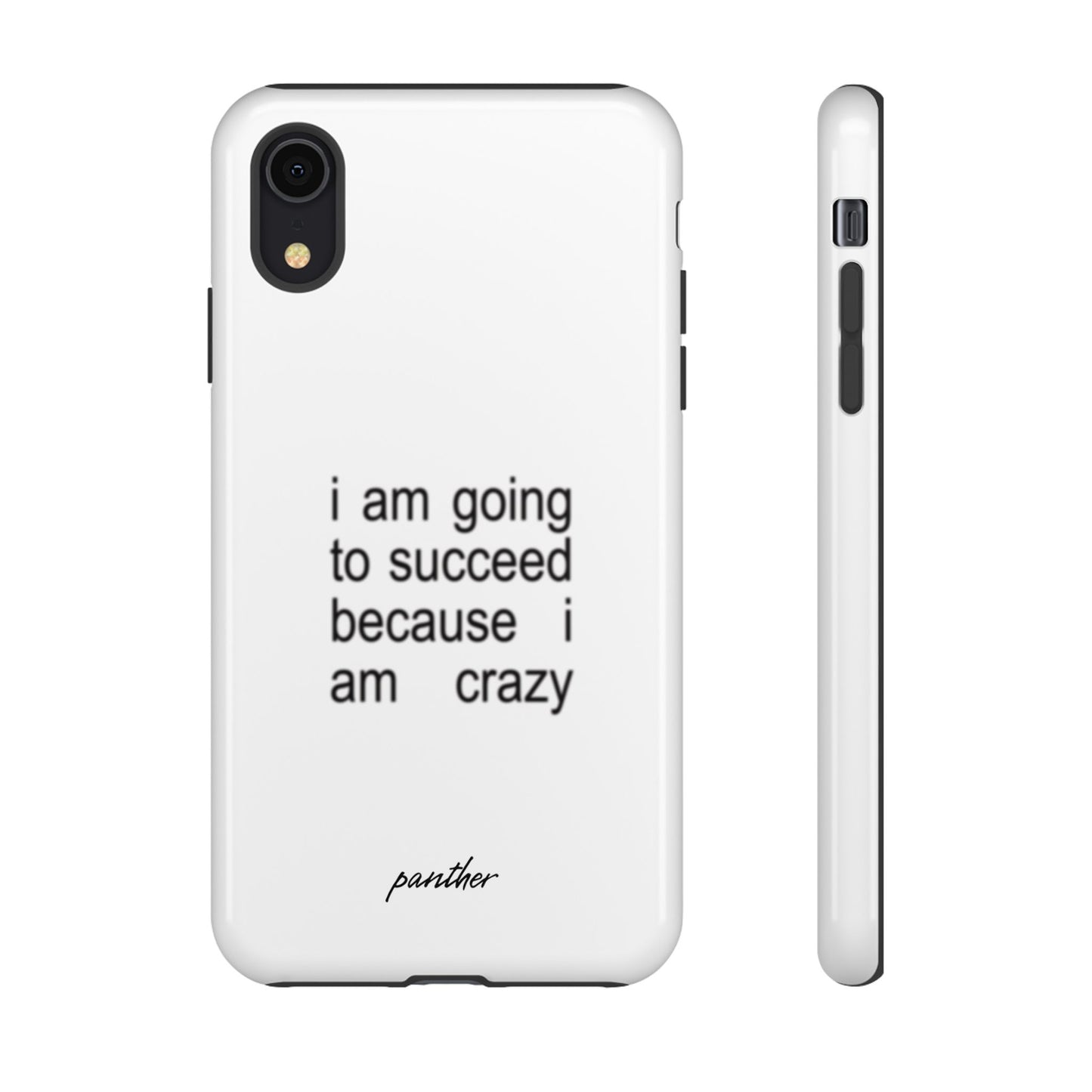 I Am Going To Succeed Because I Am Crazy